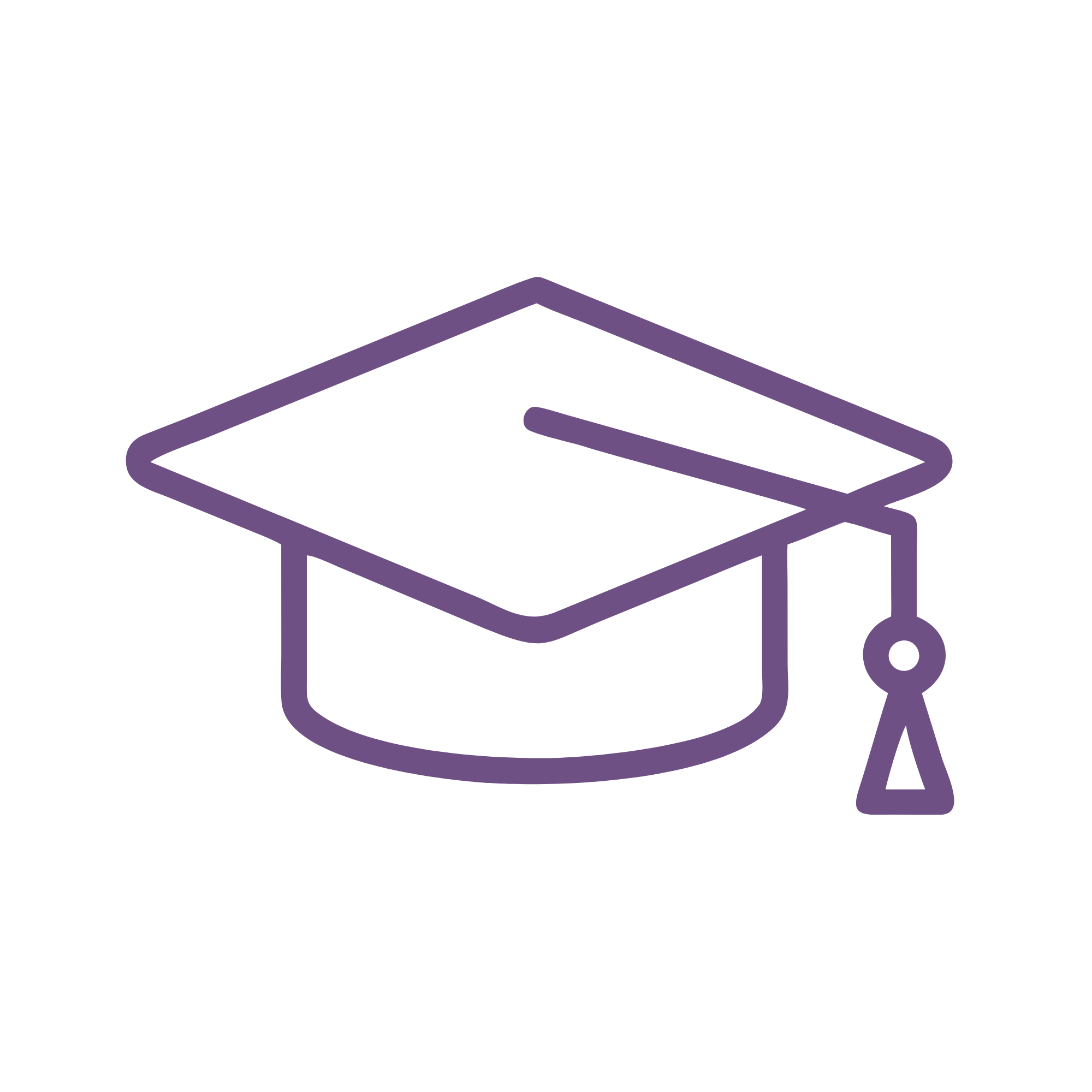 Illustration of a presentation process with a purple and black hexagon, a person icon inside a circle, and a group of people, connected by lines.