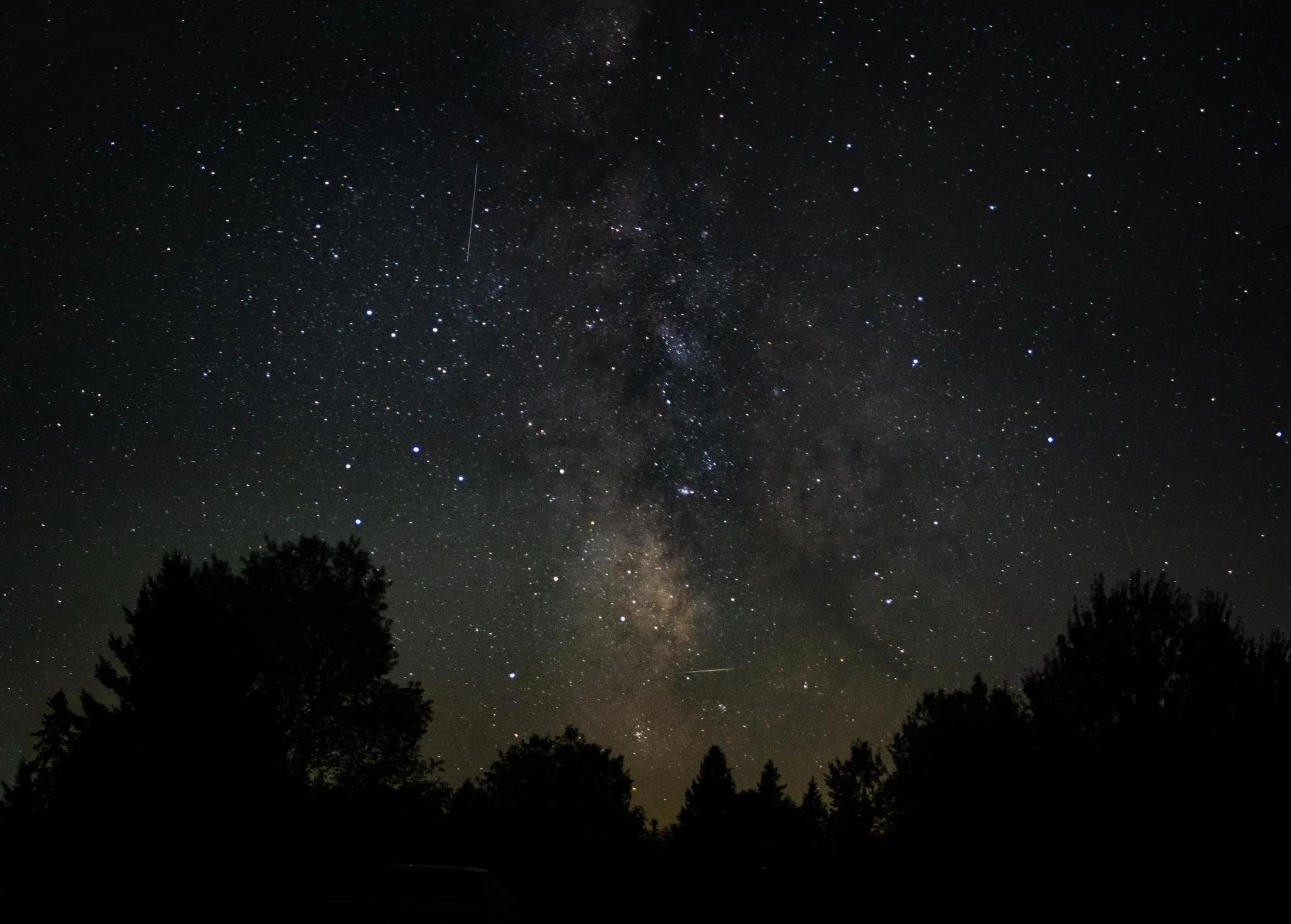 Milky Way Over Trees.jpeg