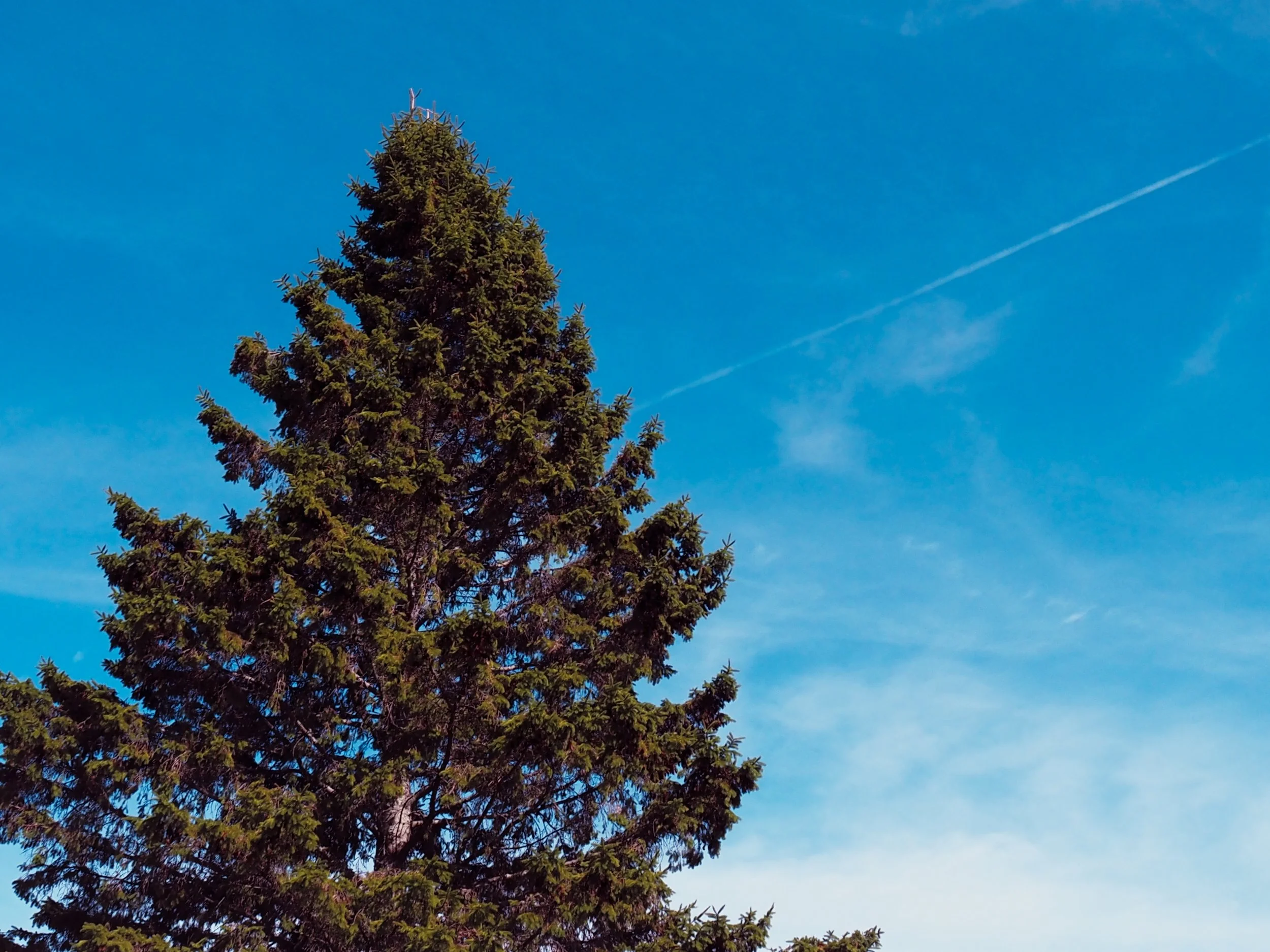 That cerulean sky....