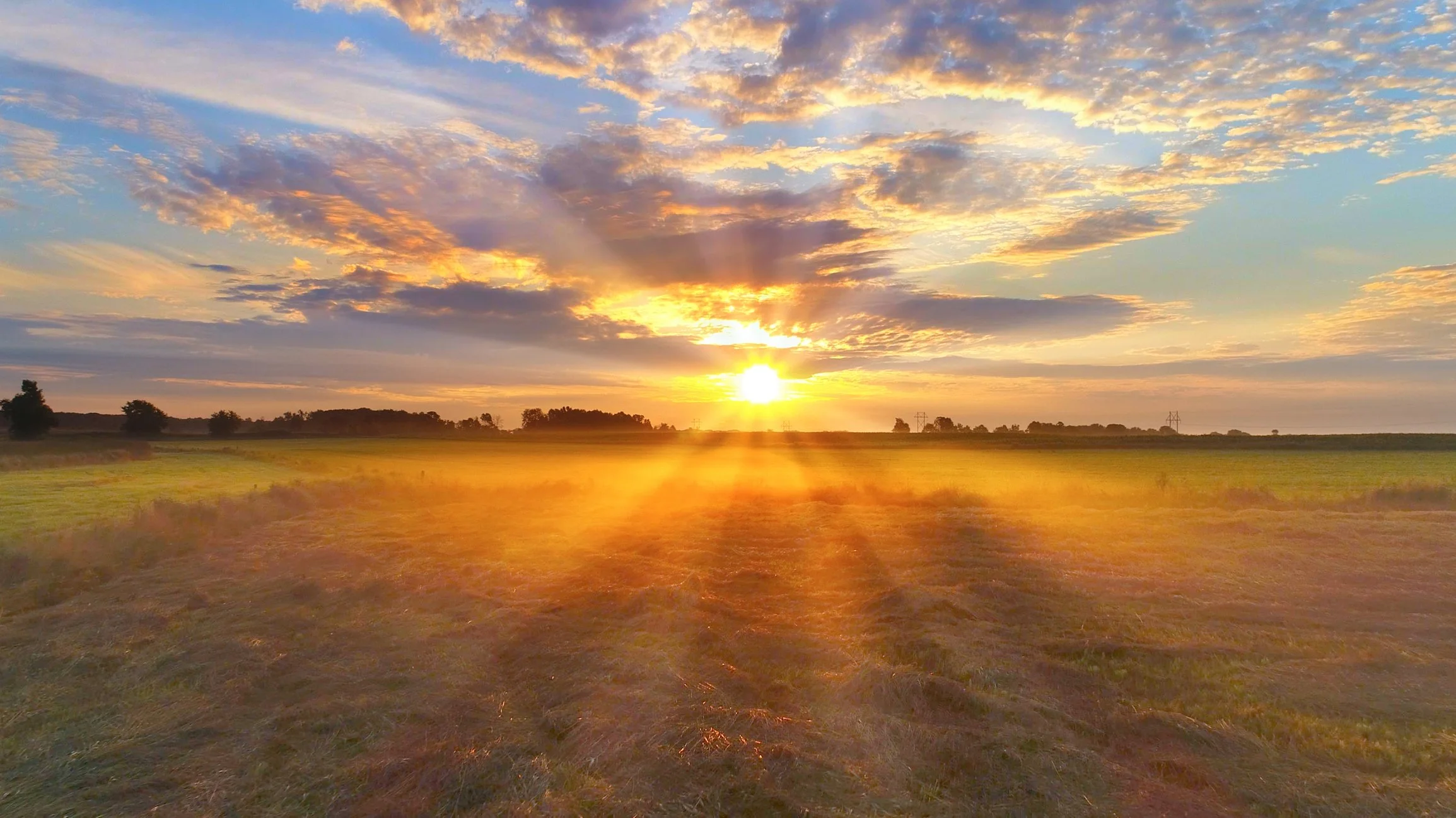 A golden sunrise over the horizon of farm land.