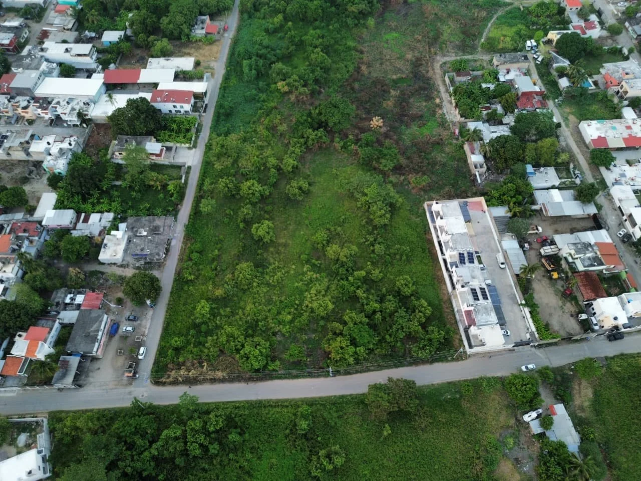 M Hidalgo Las Torres