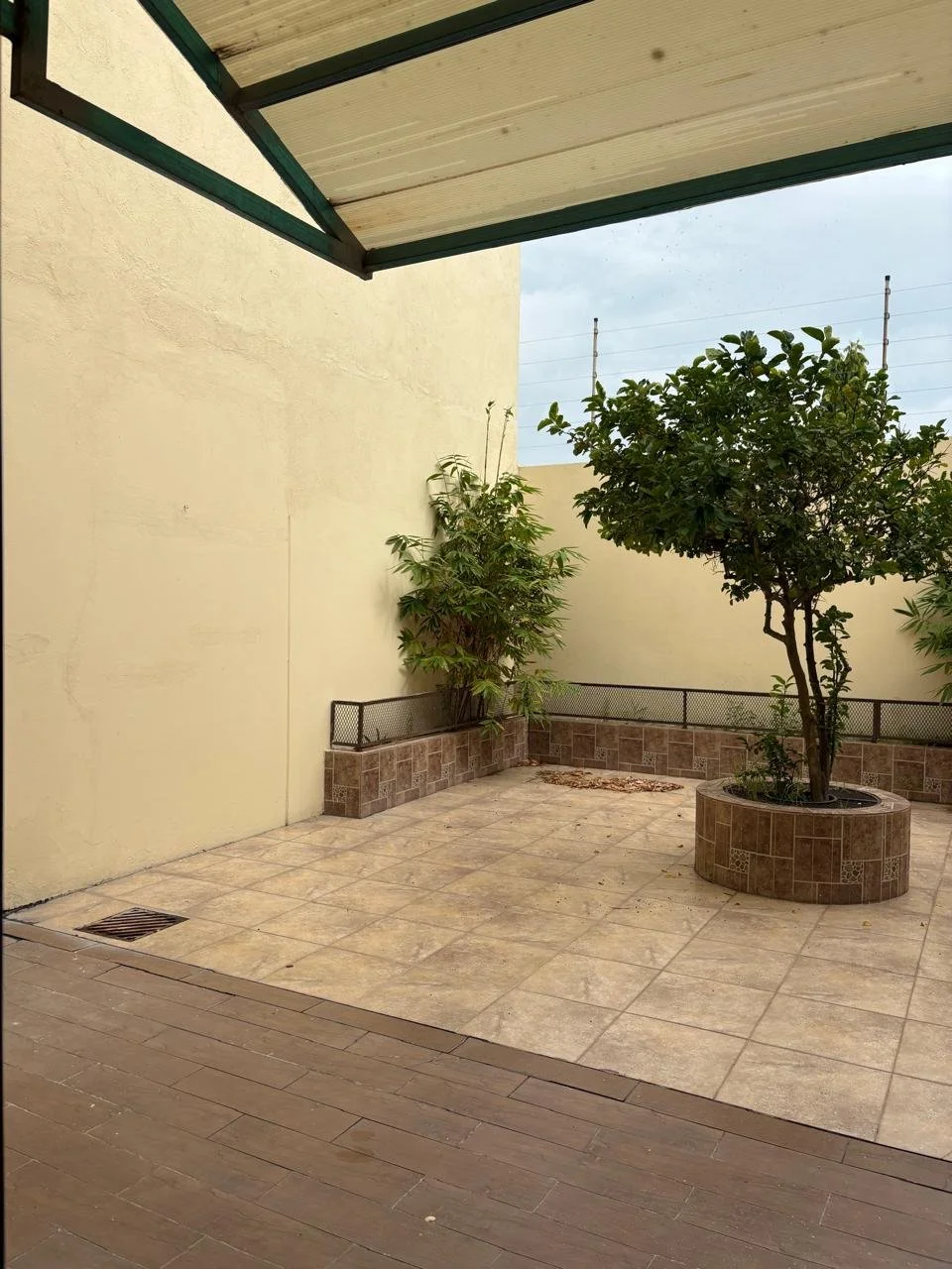 WhatsApp Image 2025-11-03 at 16.48.06.jpeg