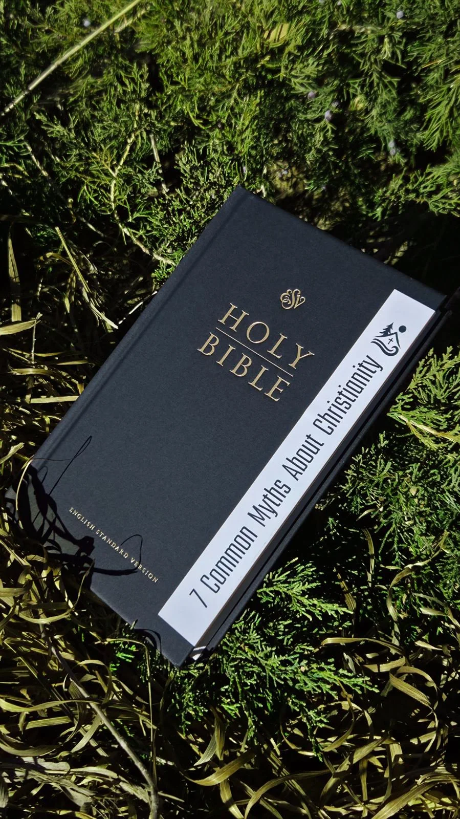 A copy of the Holy Bible lying on green grass with a white banner on the side that reads '7 Common Myths About Christianity'.