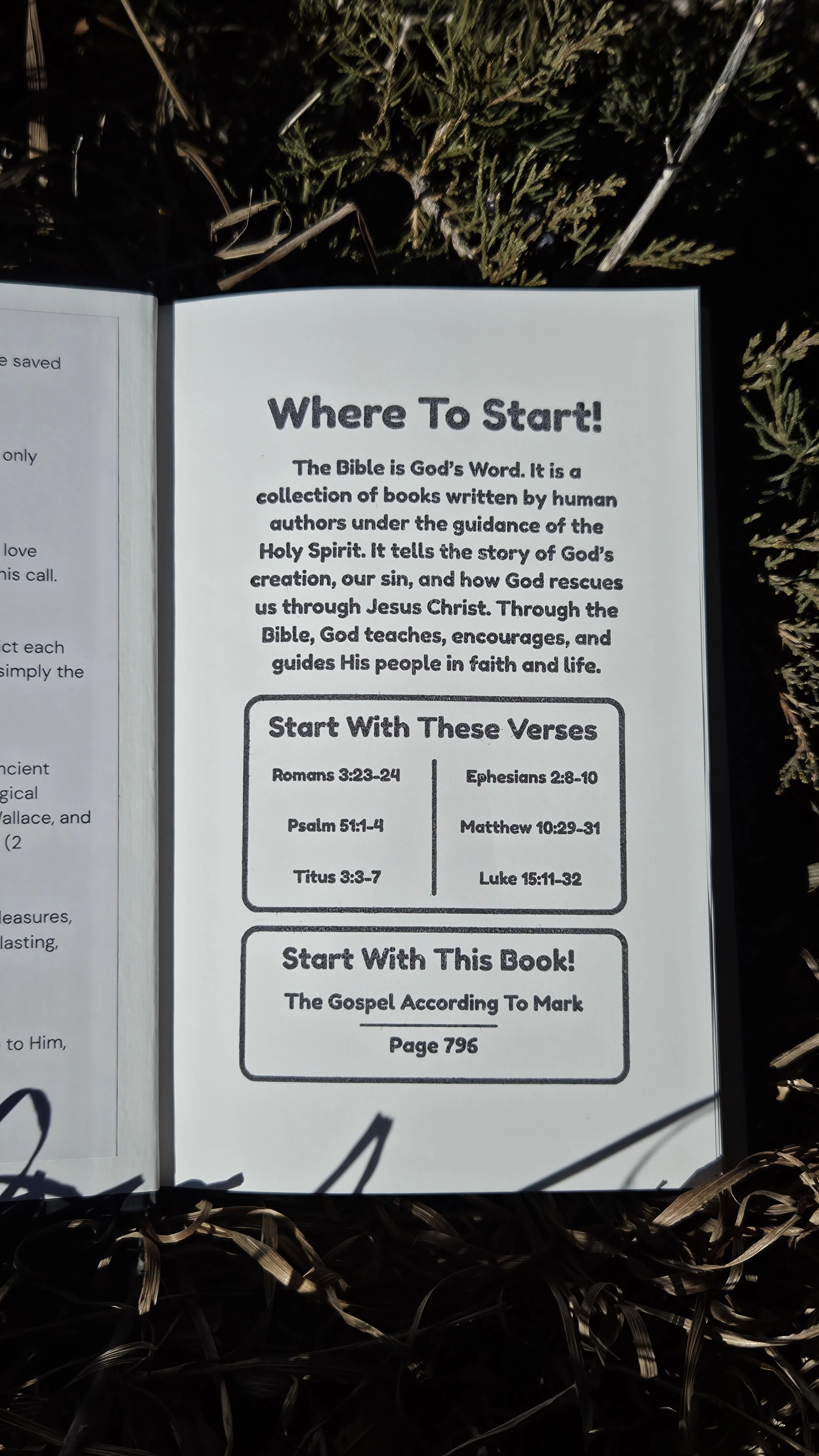 20260206_140032.jpg (Copy)