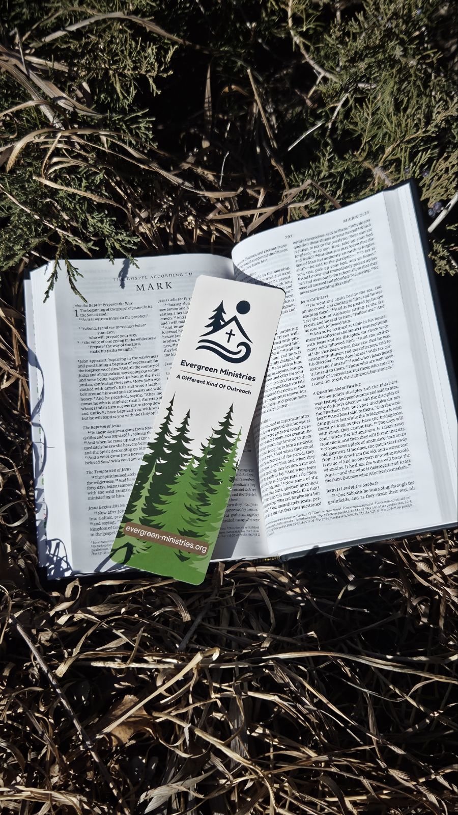 Open Bible on dry grass with Evergreen Ministries bookmark featuring pine trees and nearby green foliage.