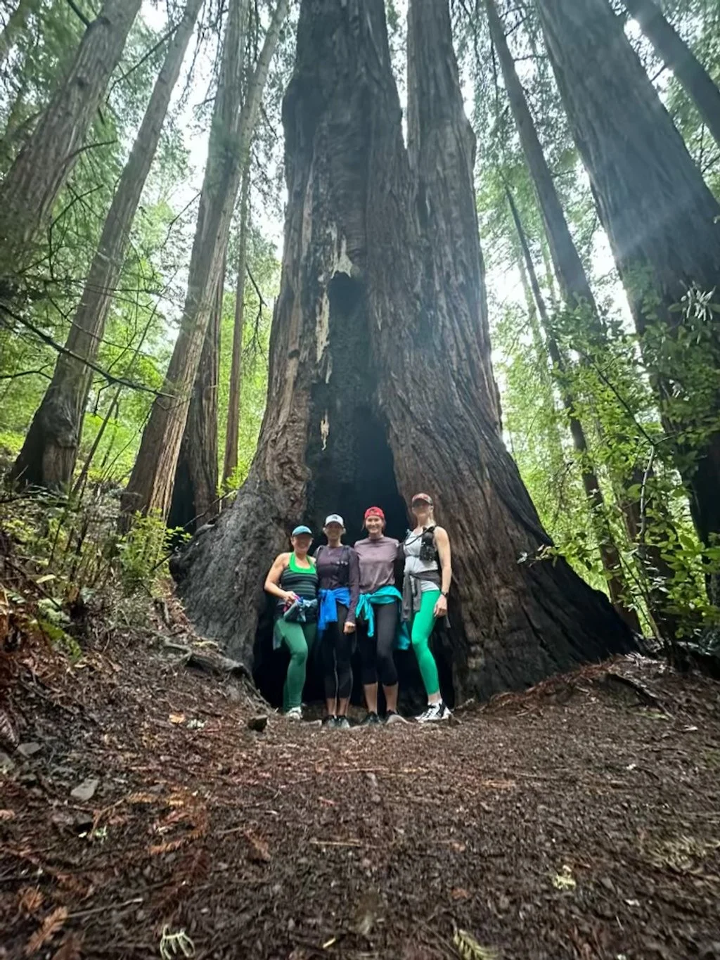 Hikes the John Muir Trail.jpeg