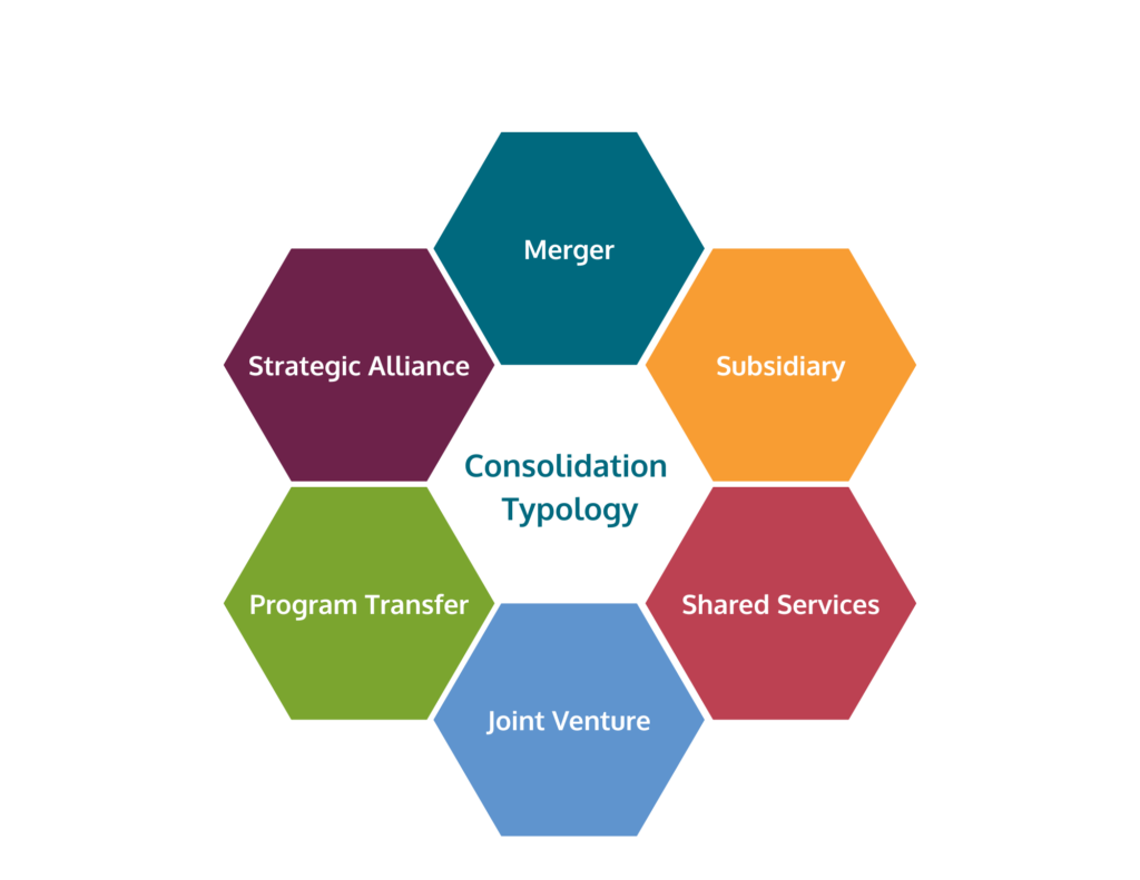 A typology of consolidation strategies, by Humentum