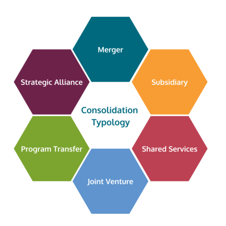 Humentum's consolidation typology