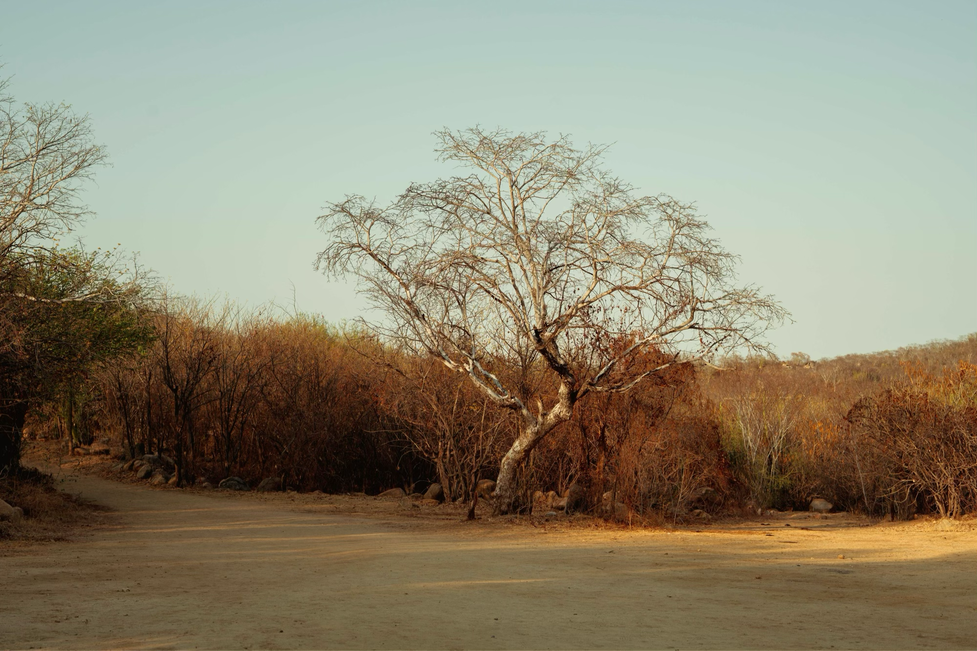 Image 4-21-26 at 4.26 PM.png