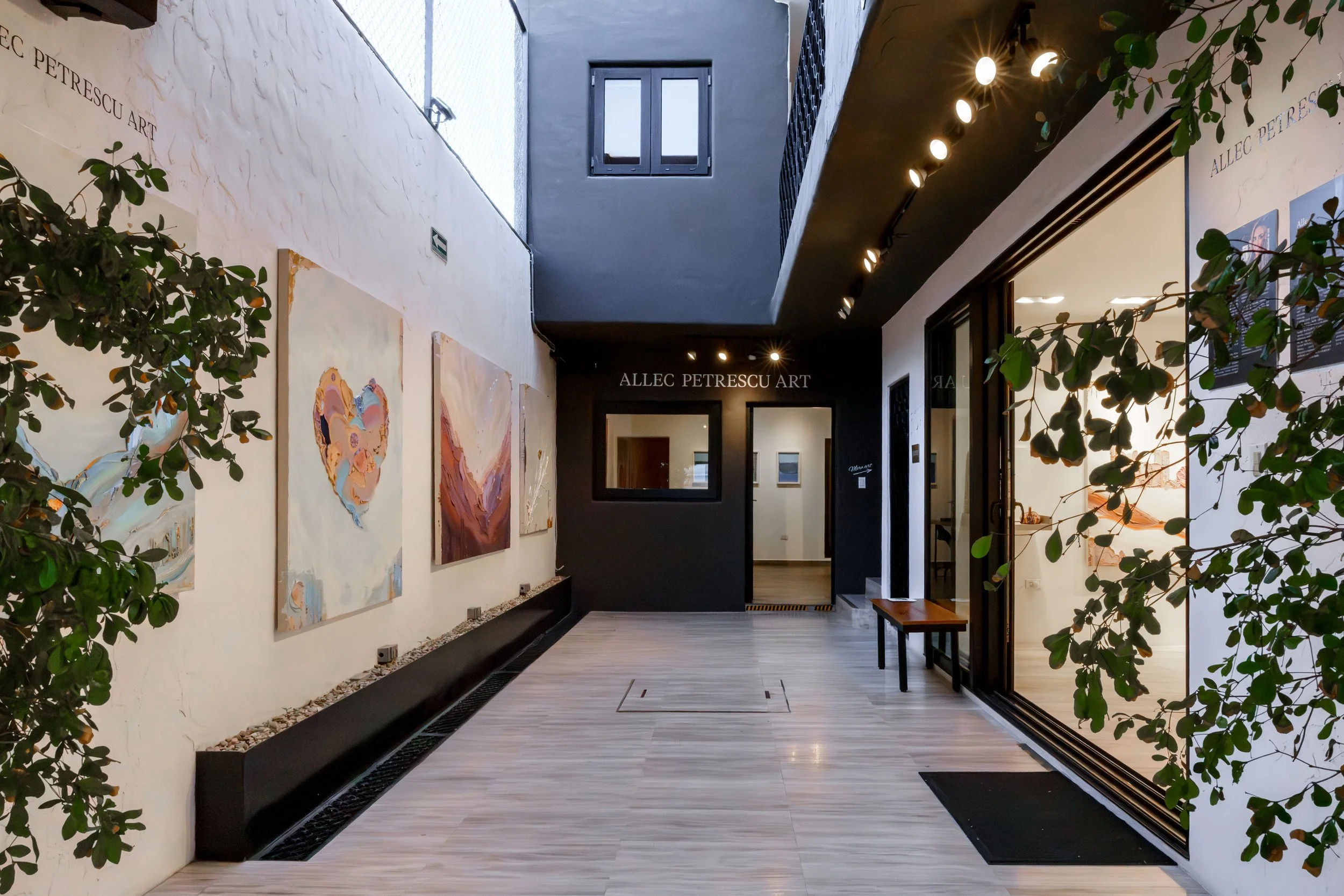 AllecPetrescuArt_02_GalleryInterior.jpg