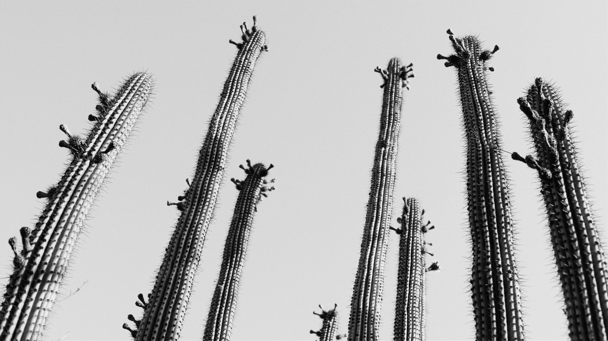 Image 4-21-26 at 4.26 PM (1).png