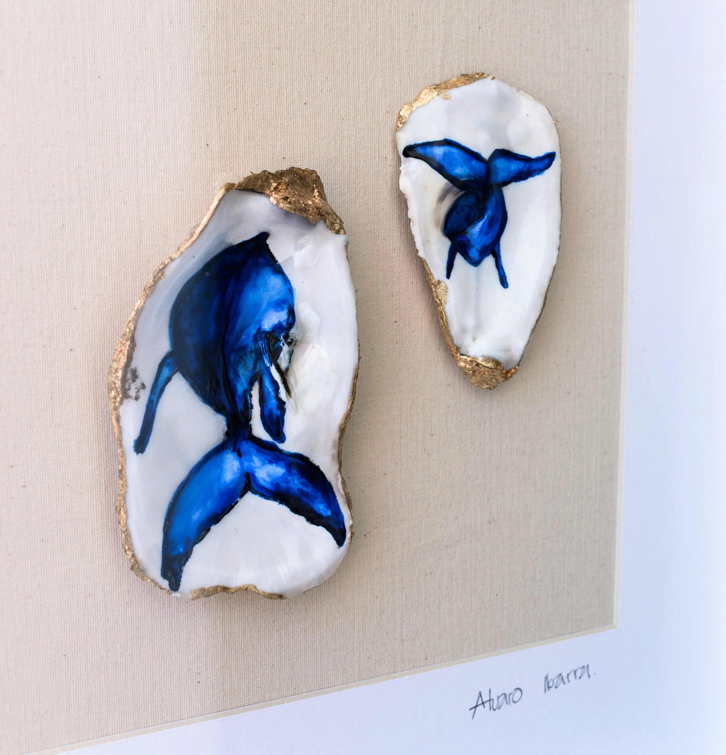 Alvaro Ibarra-2-2.jpg