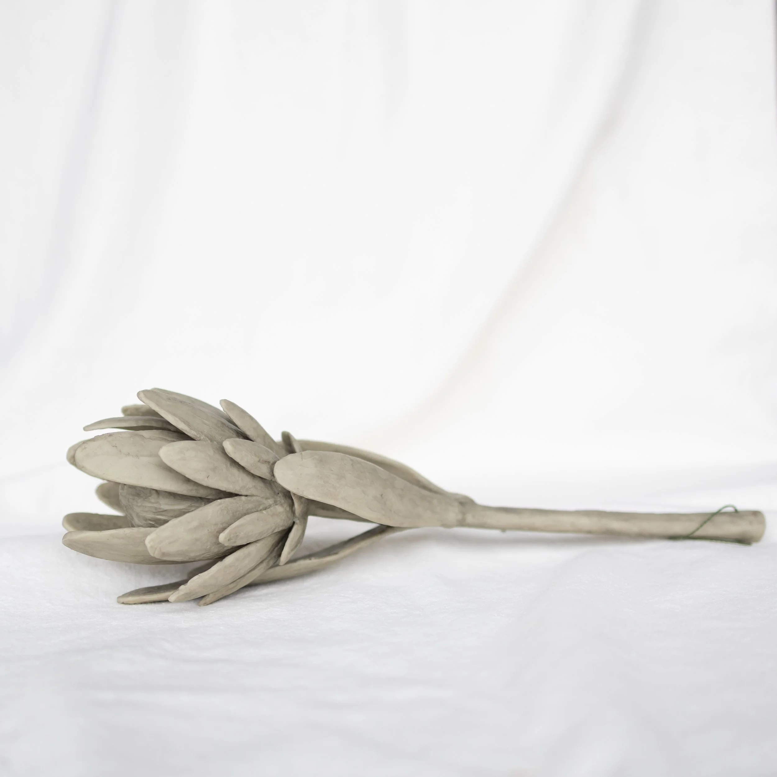 The Eternal Blossom II