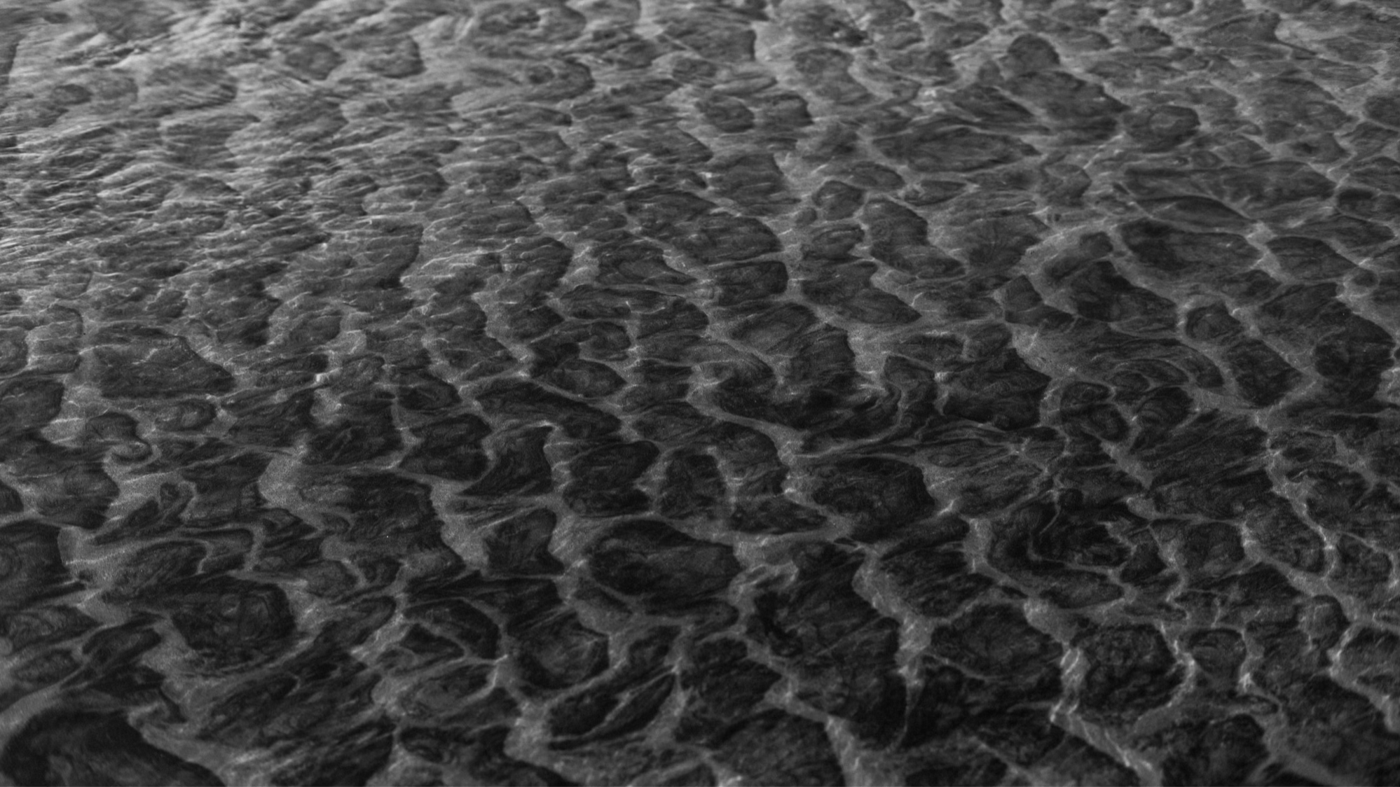 Image 4-21-26 at 4.26 PM (2).png