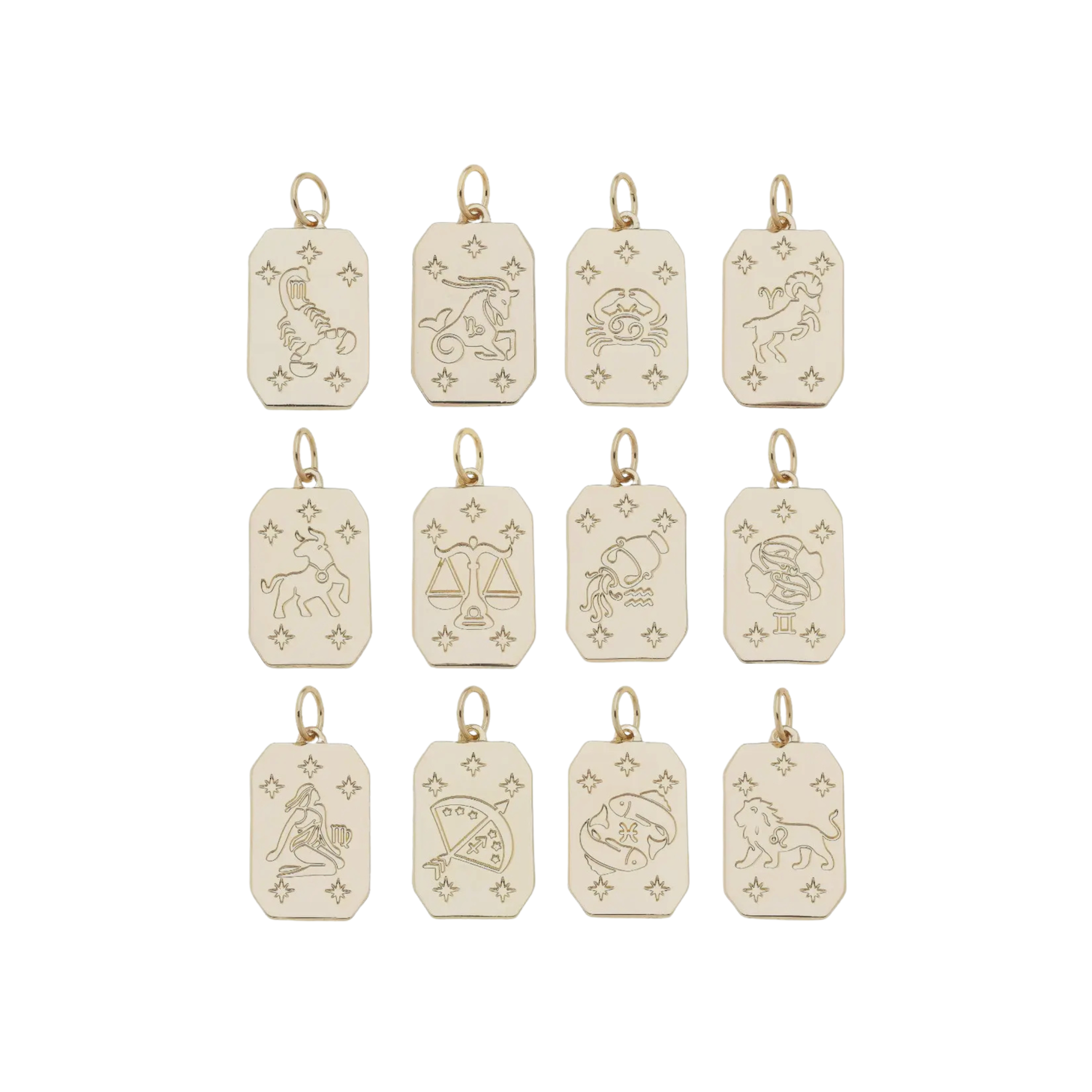 Zodiac sign charms