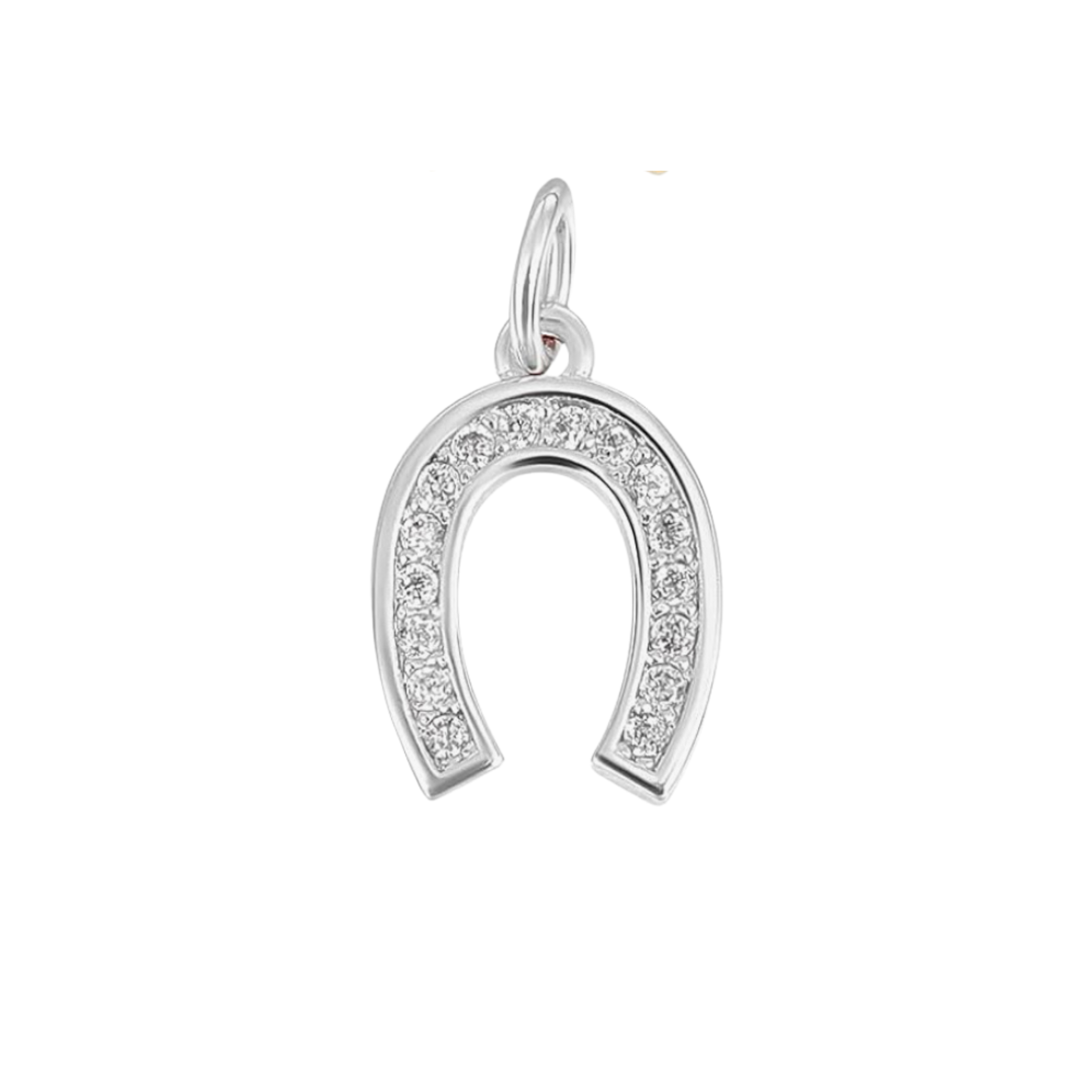 Silver Rhinestone Horseshoe