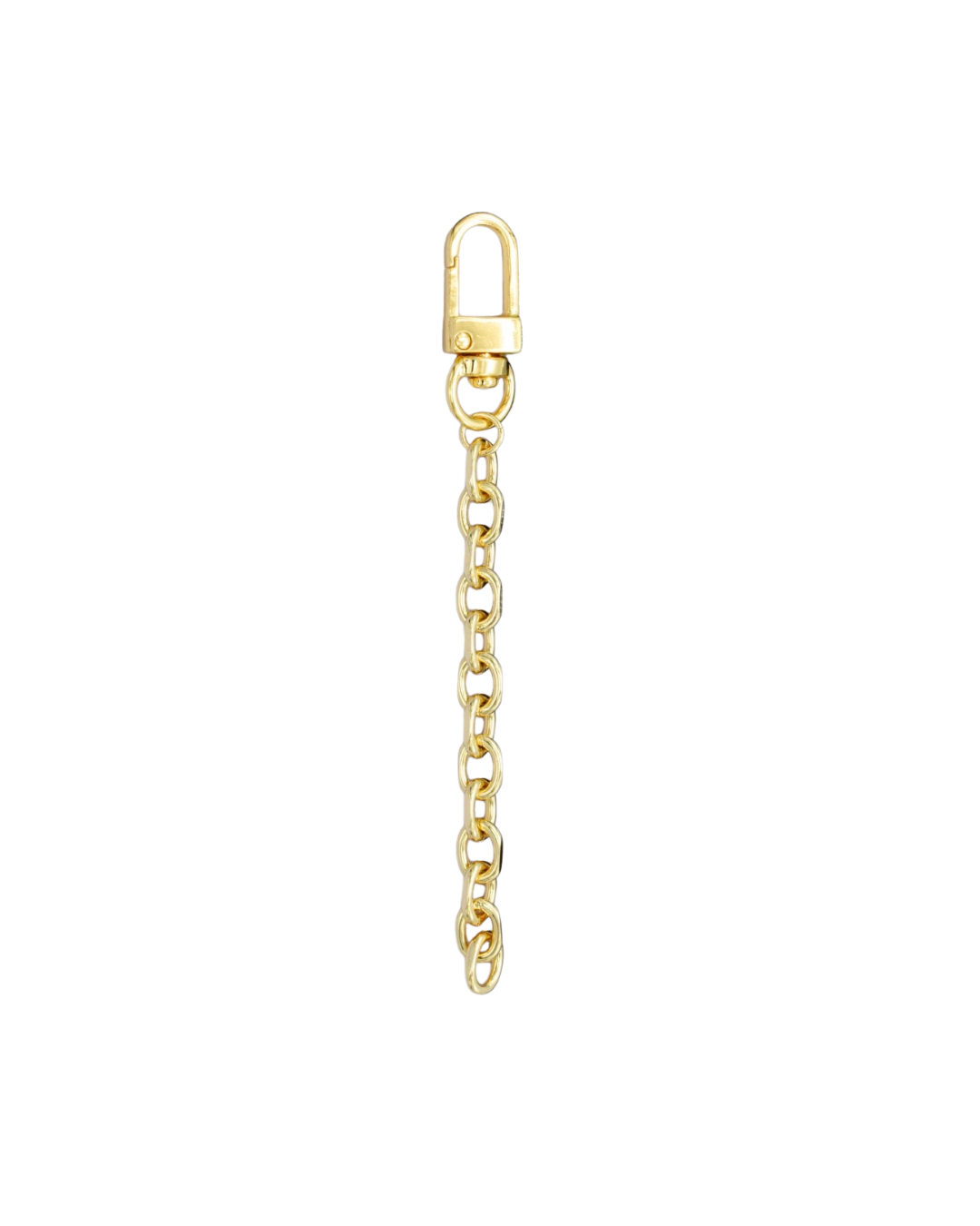 Gold Bag Chain