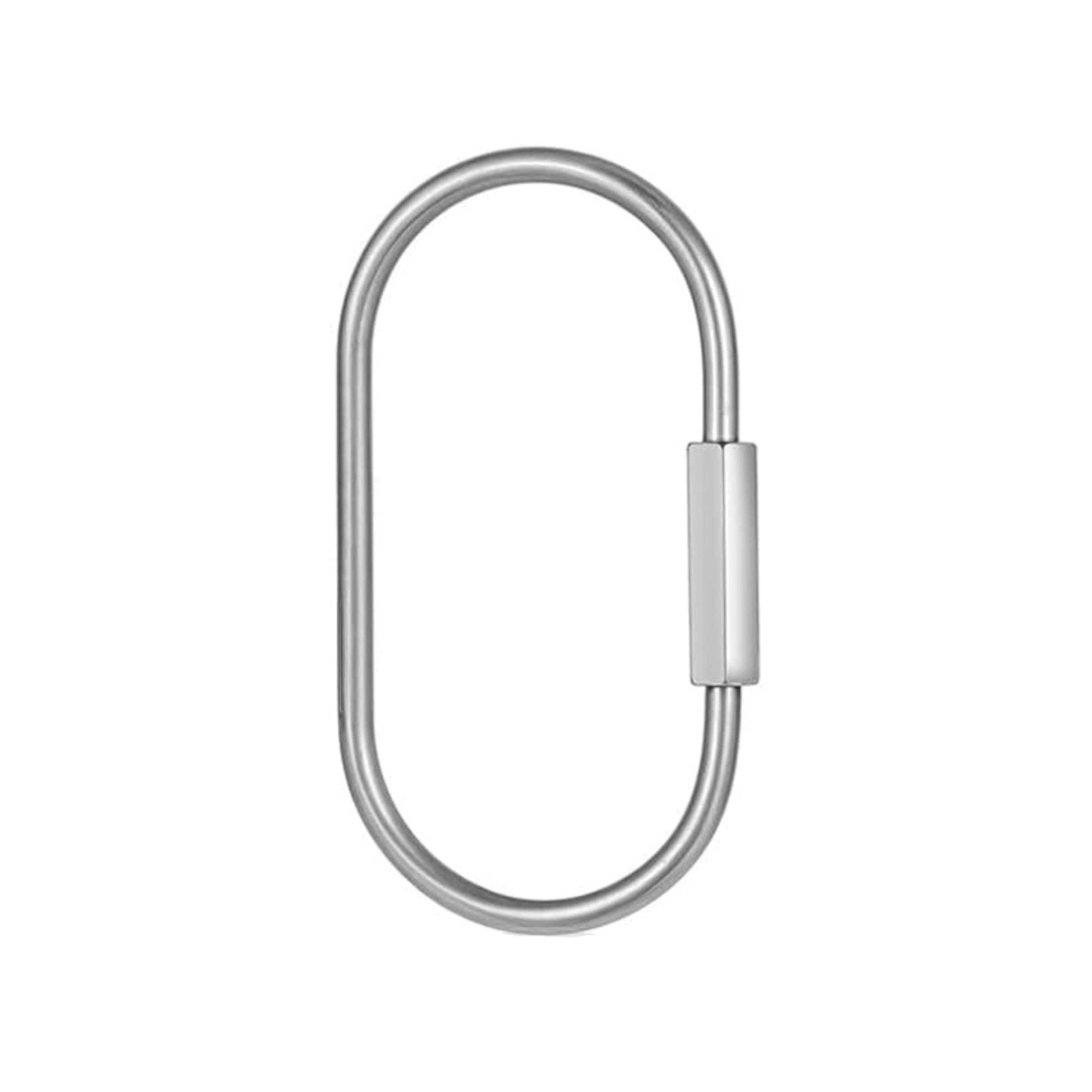 Silver Bag Carabiner