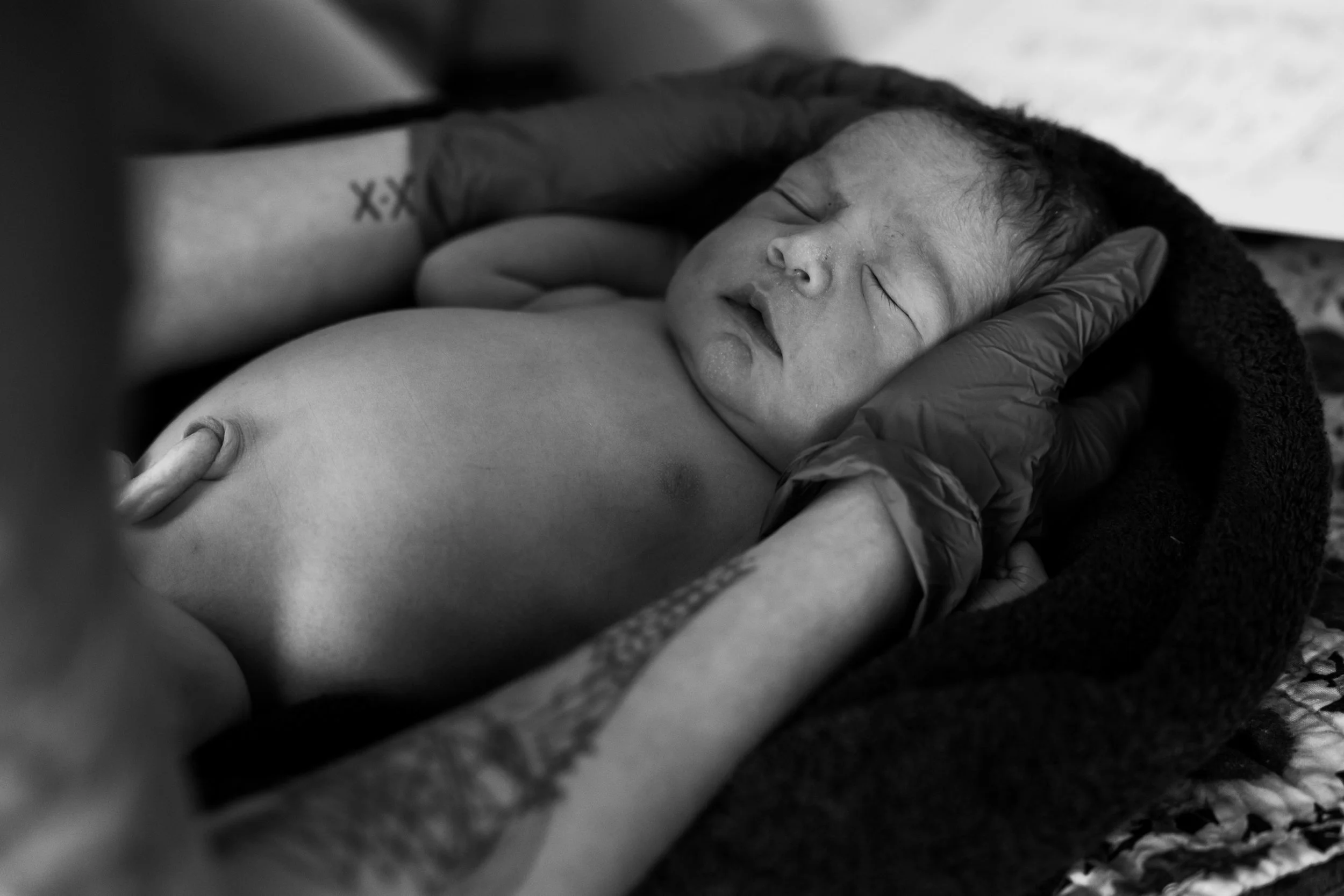 A newborn baby being held gently by a person wearing gloves, lying on a blanket with a dark background, black and white photo.