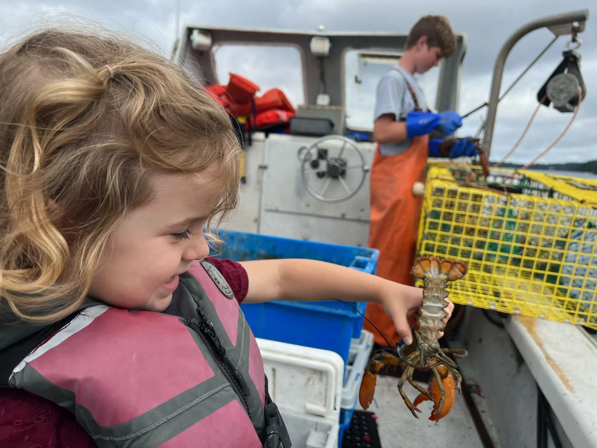 🦞🦞Tomorrow night - October 1, 2026 6 PM 🦞 🦞 

South Bristol Lobstermen Buoy Display Unveiling on display in the South Bristol School gymnasium.

The unveiling is open to the public and will last about 45 minutes. Light refreshments will be served