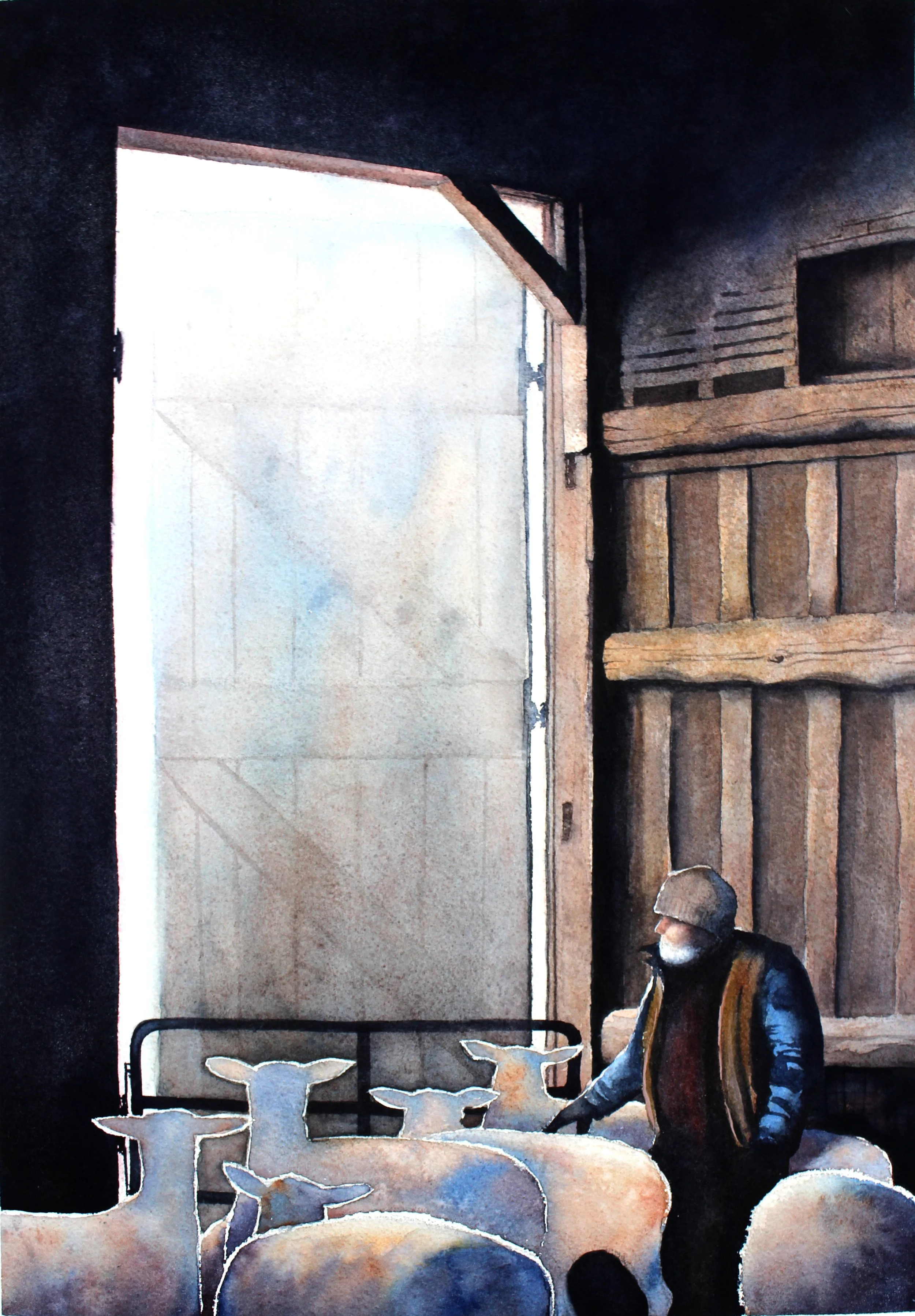 Shearing day-Erica Qualey.JPG