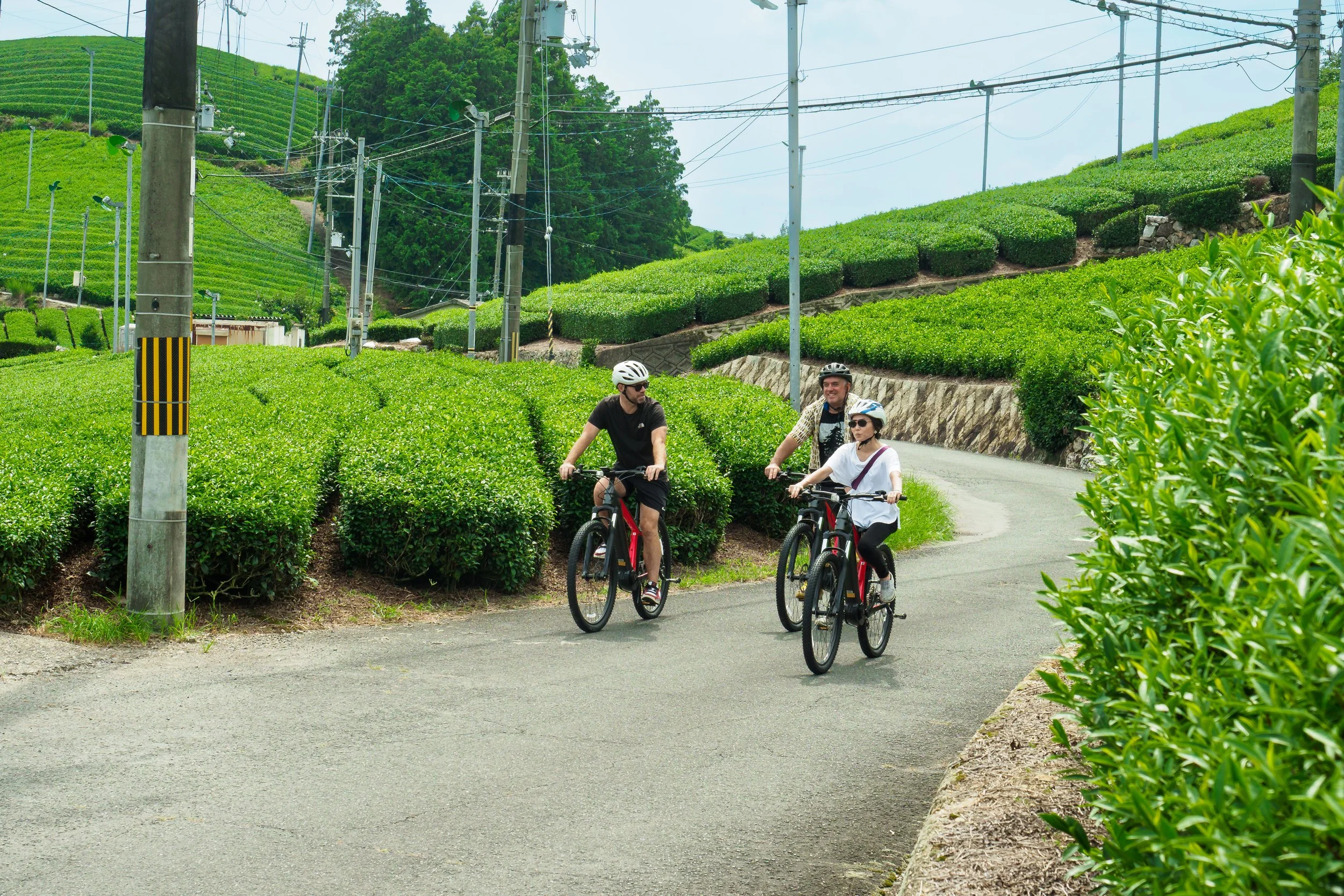 P1010152-q7.jpg