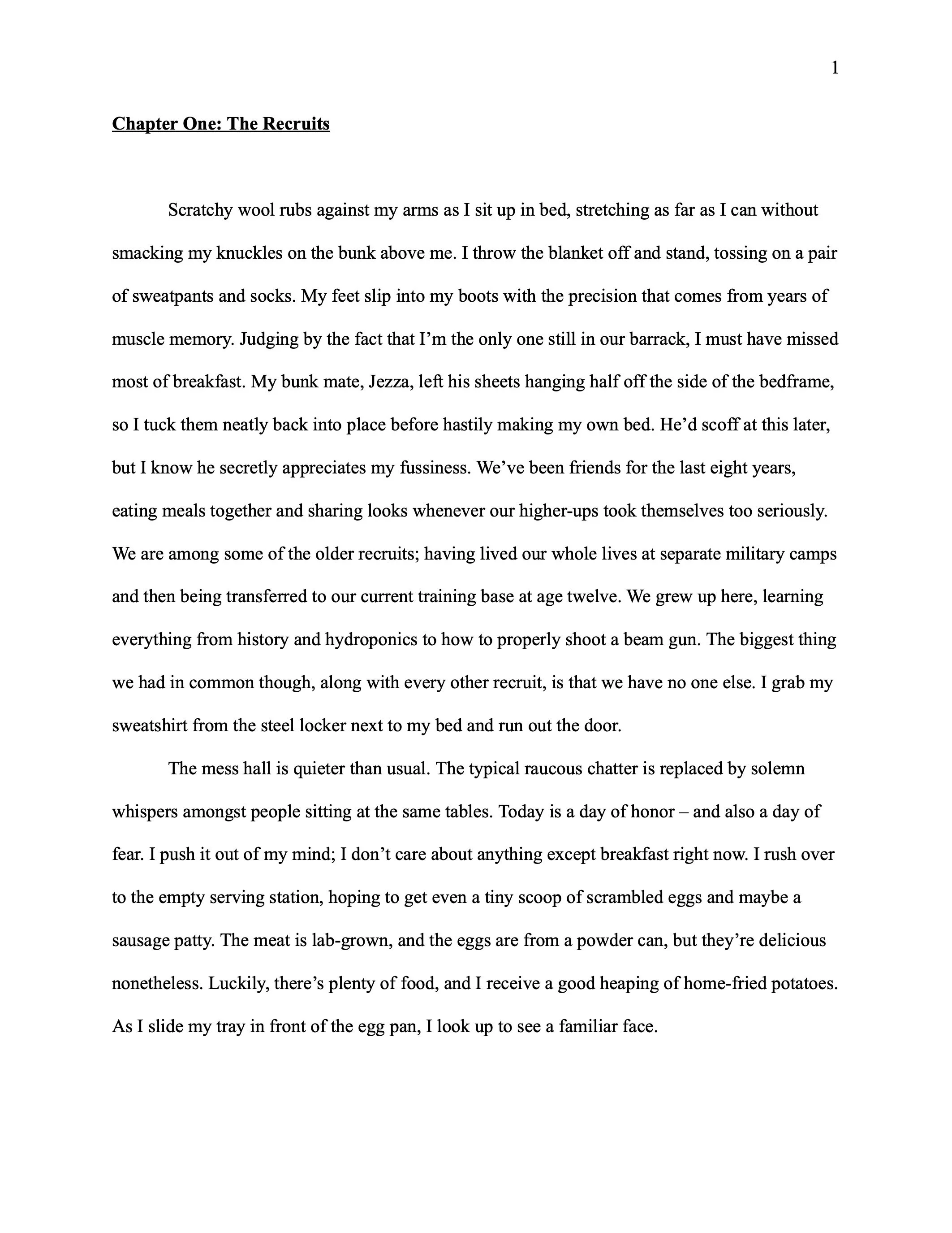 Novel REWRITE 2026 - Google Docs.jpg