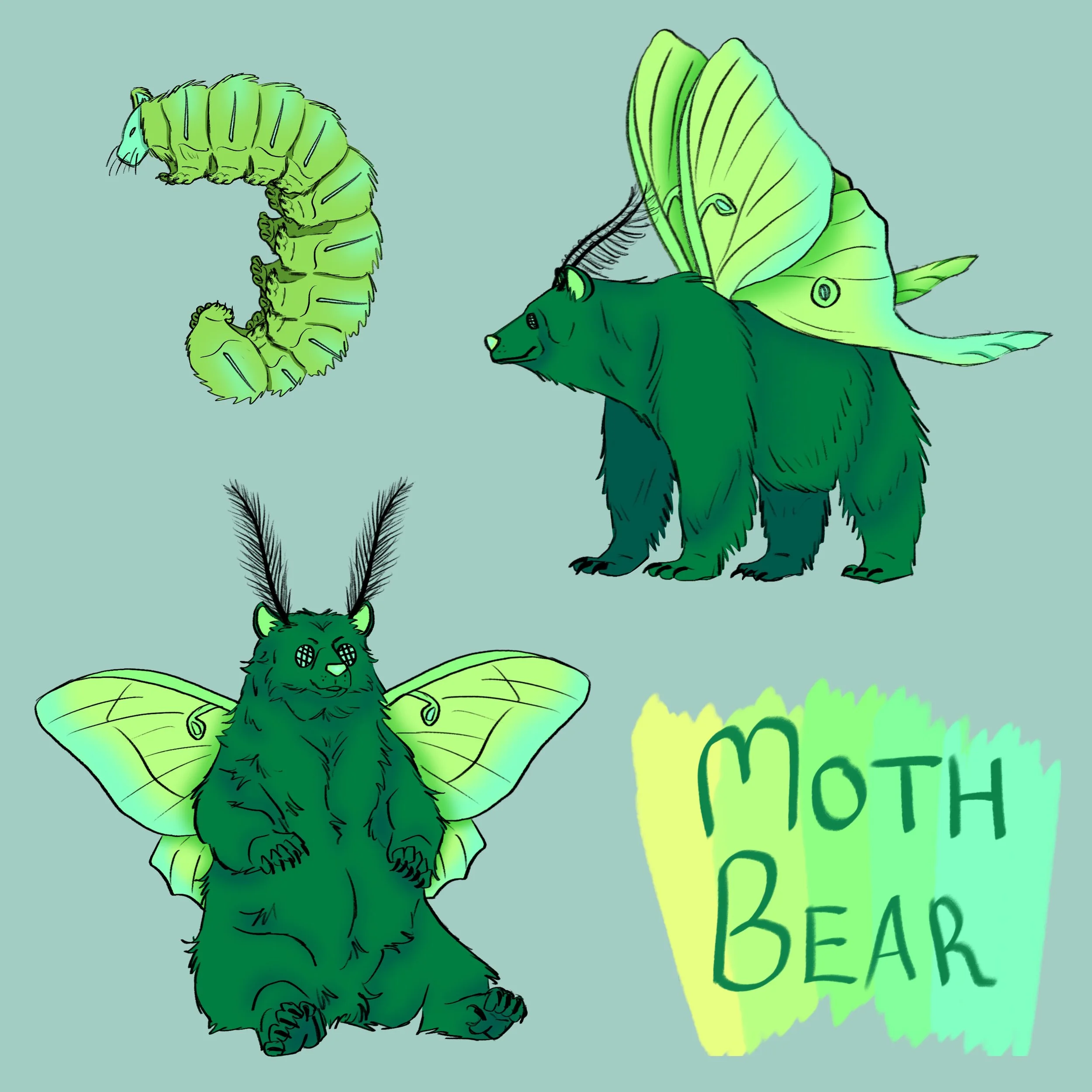 Moth_Bear_Character_Design_72DPI.jpg