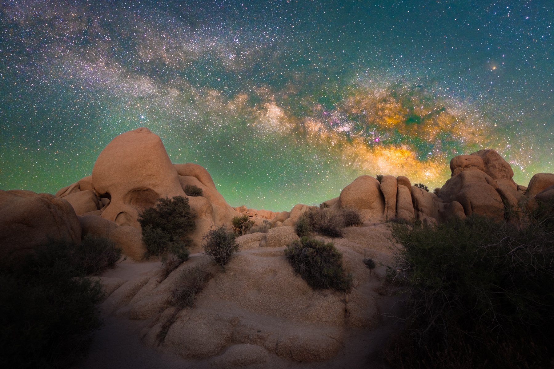 2026-05-17[Night Skies of Joshua Tree- Rosemarie Skillman]- WEB-6.jpg