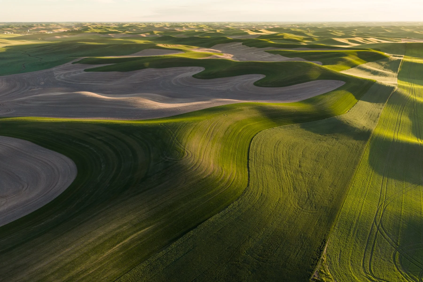 06-07-26 [Spring in the Palouse-Rosemarie Skillman] WEB-9.jpg