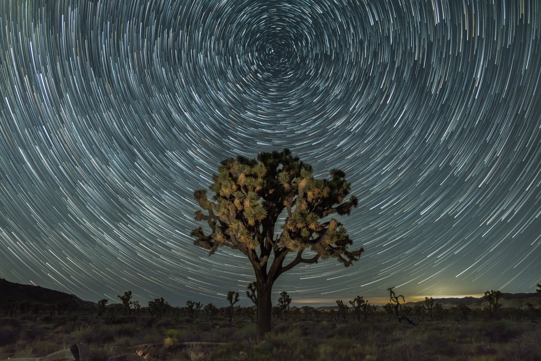 2026-01-14 [Desert Star Trails-Rosemarie Skillman  4.jpg