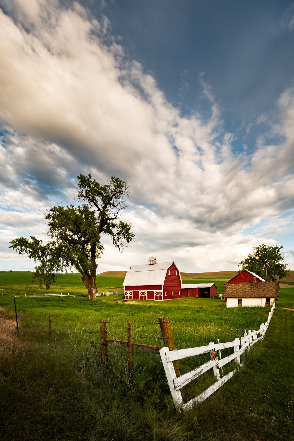 06-07-26 [Spring in the Palouse-Rosemarie Skillman] WEB-5.jpg