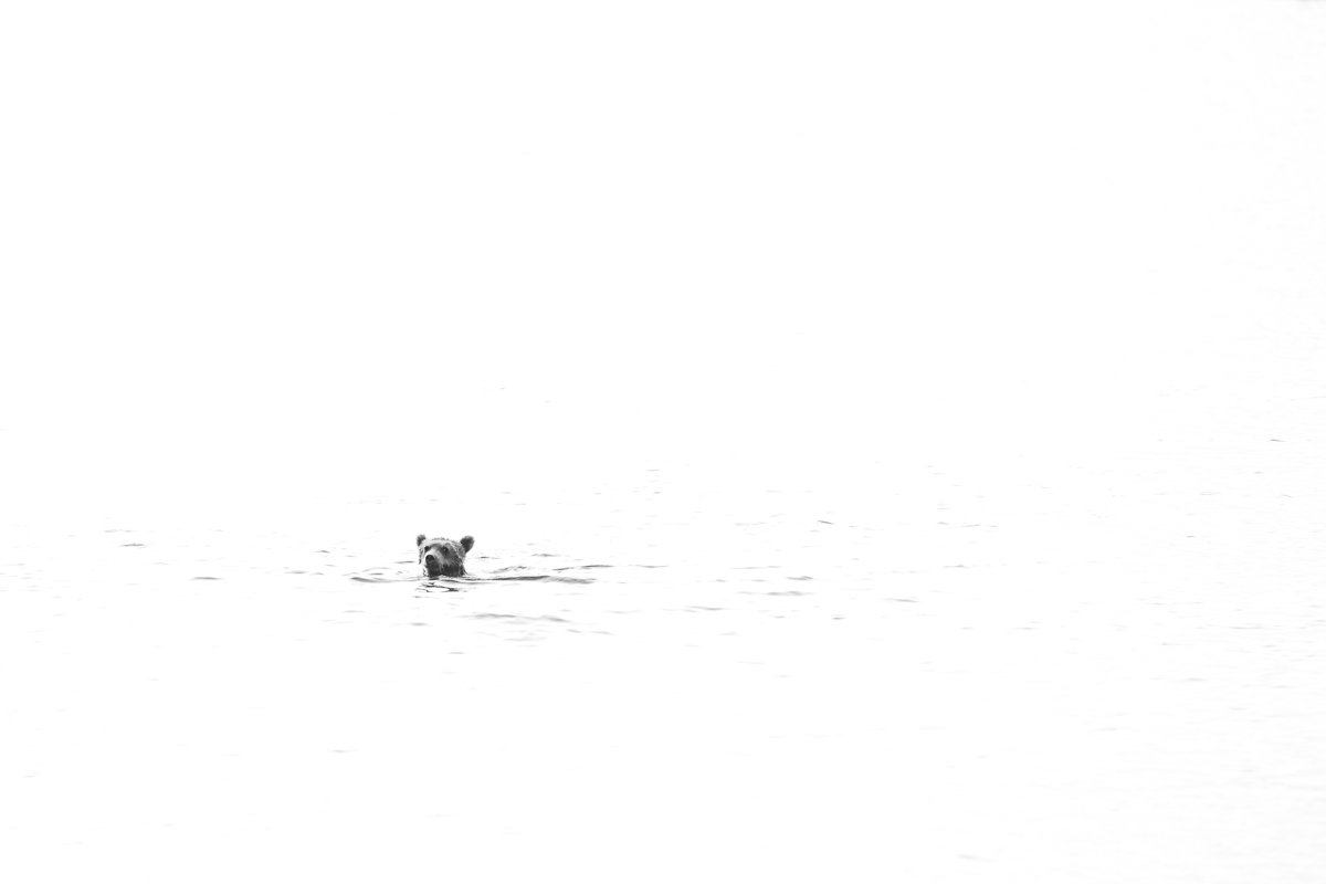 Floating on Sunshine