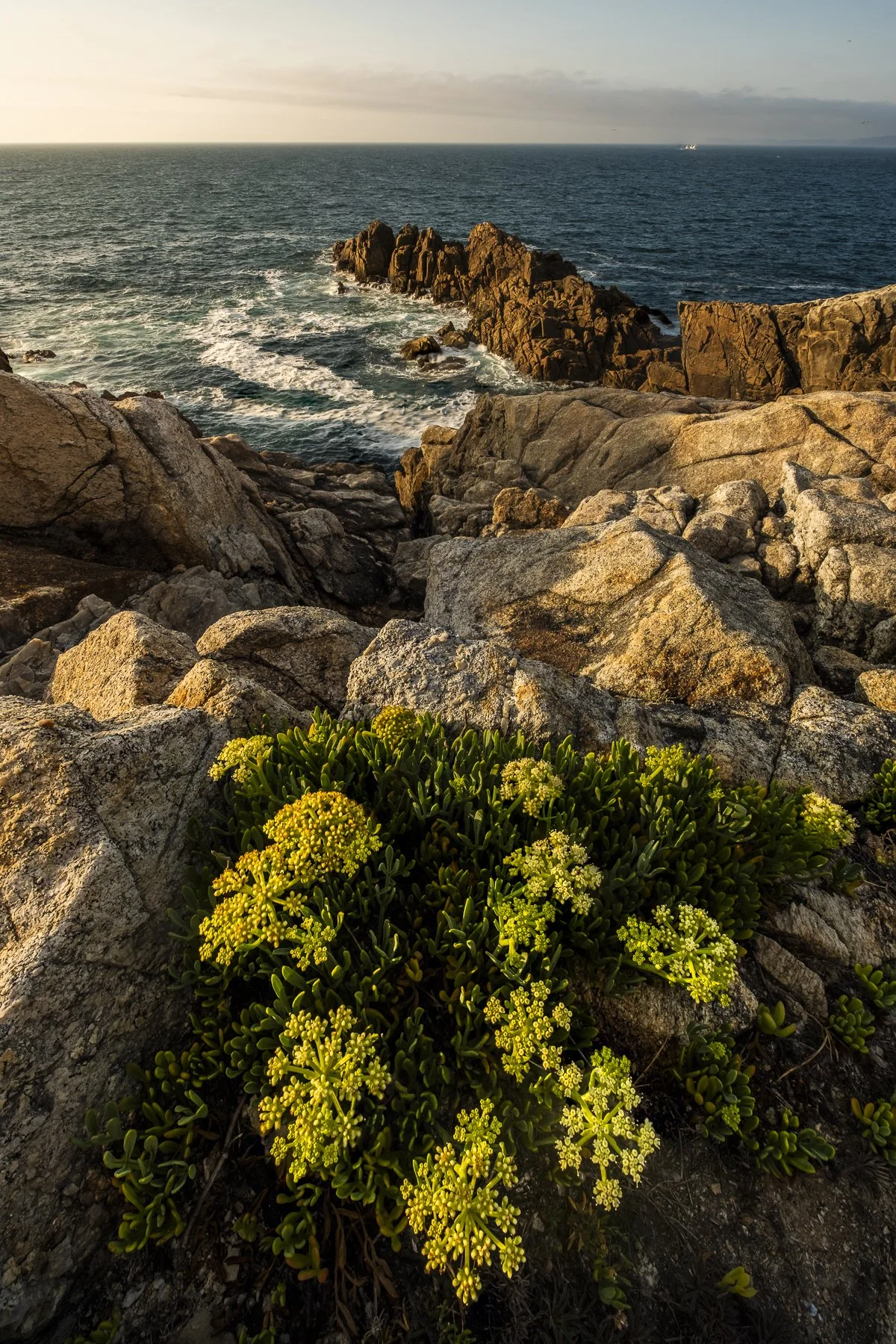 Web- Edge to Punta Facal.jpg