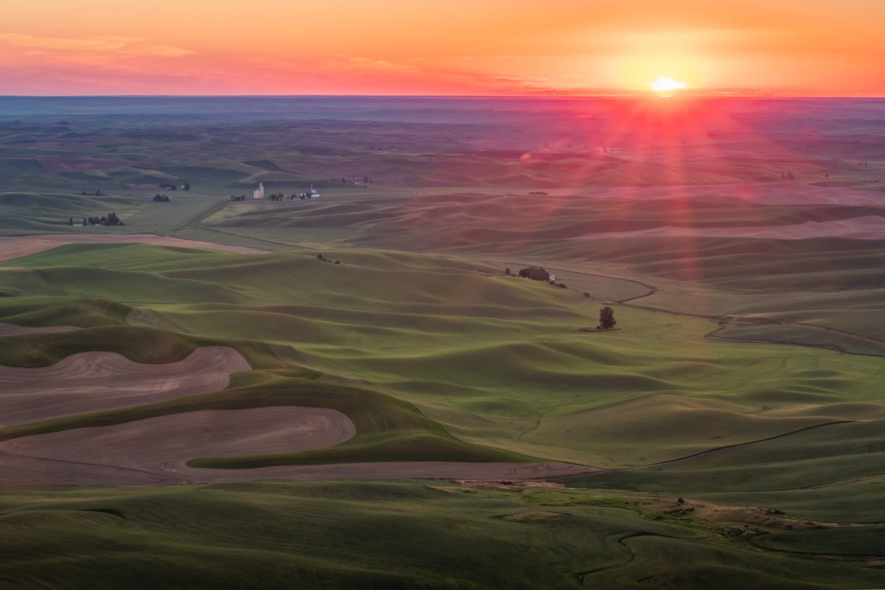 06-07-26 [Spring in the Palouse-Rosemarie Skillman] WEB-3.jpg