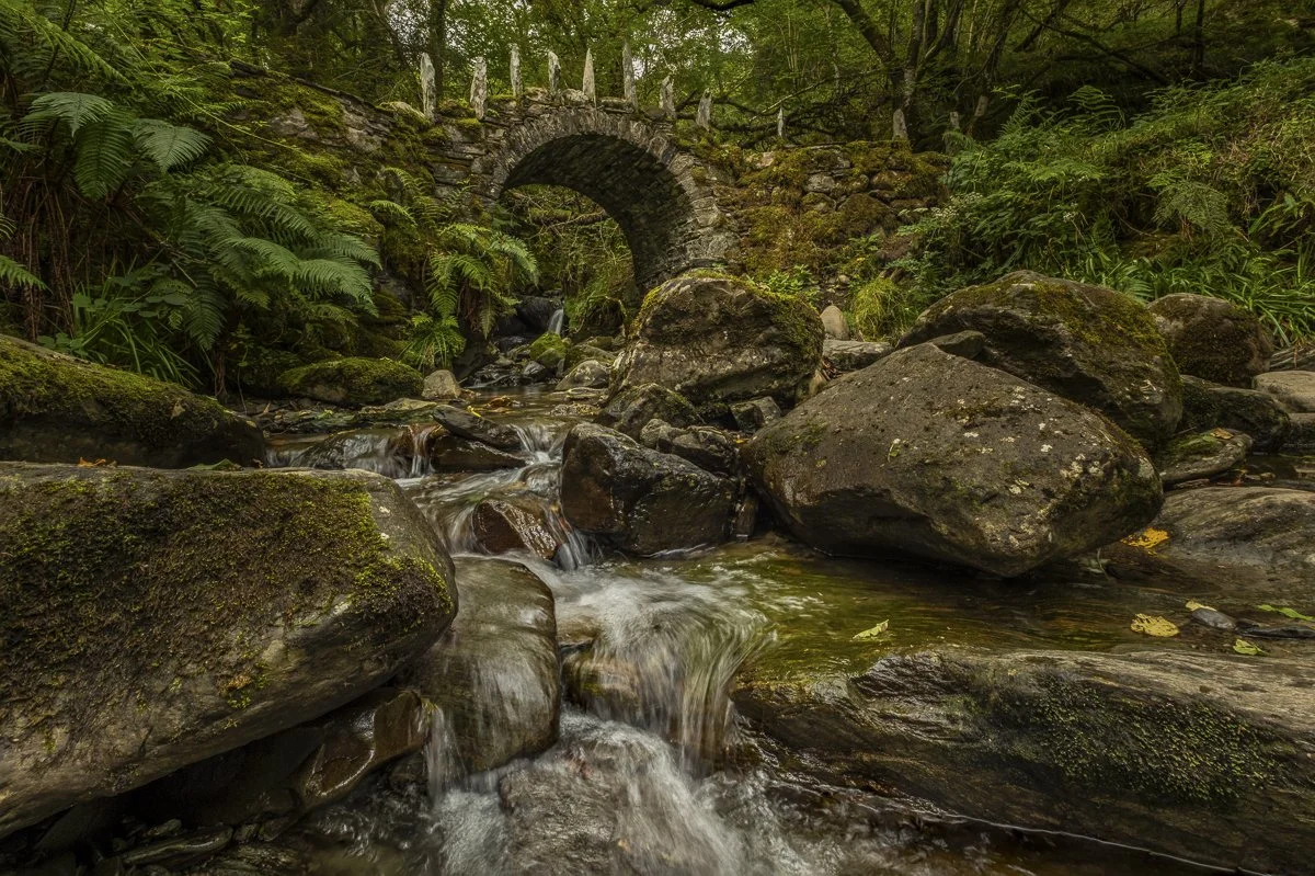 Magic Within the Fairy Bridge