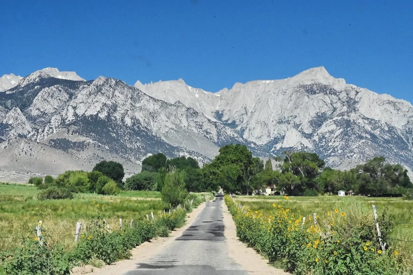 The #easternsierra and #greatbasin - #whitneyportal #manzanar #ancientbristleconepineforest #mammothlakes #monolake #deathvalley