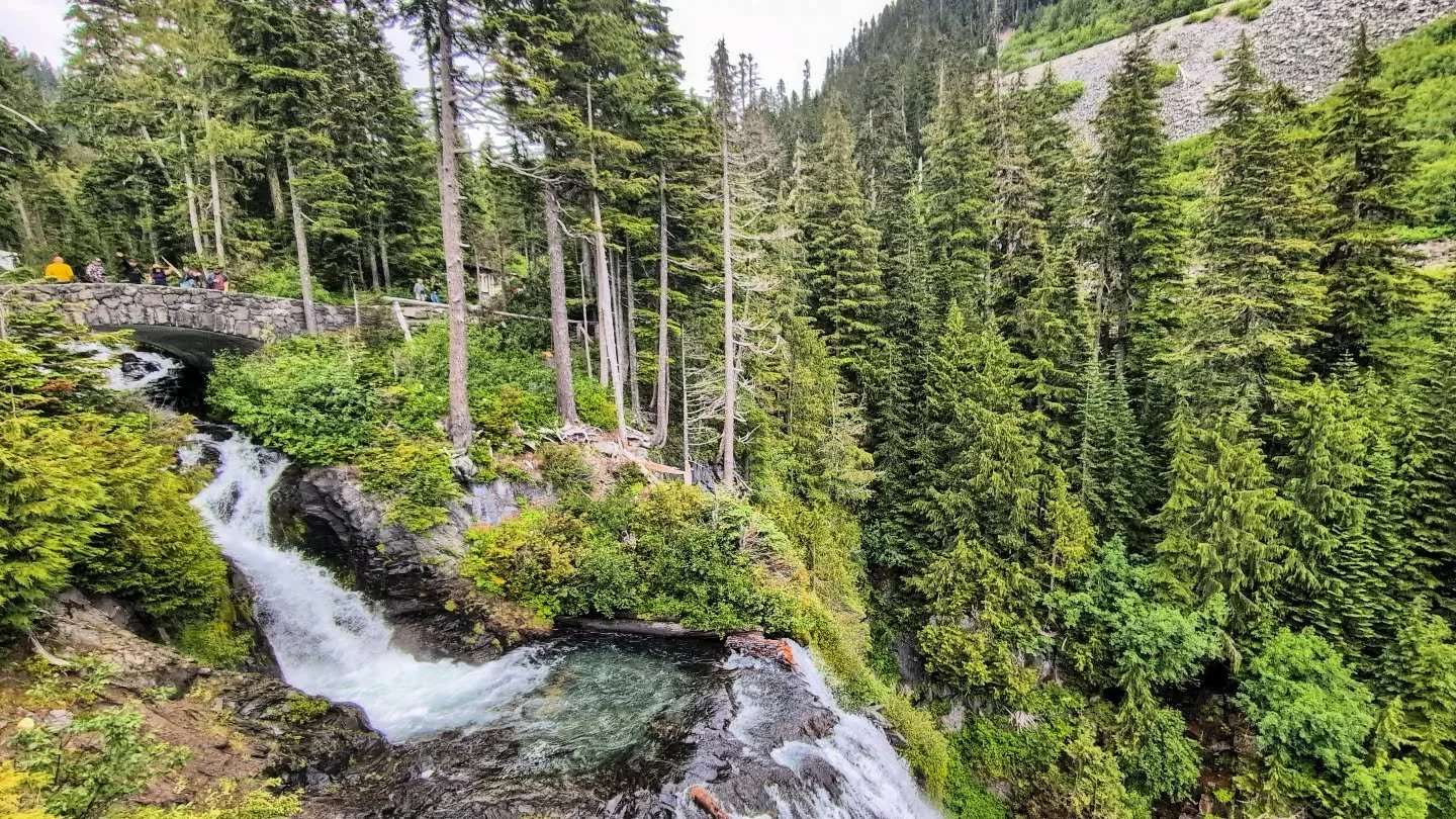 We managed to get Mt Rainier on mostly quiet days - with a little help from ticketed entries and the weather #mtrainiernationalpark #mtrainier #riffelake #naradafalls #cowlitzchimneys  #sarvantglacier #edithcreek #paradisemeadows #skylinetrailmtraini