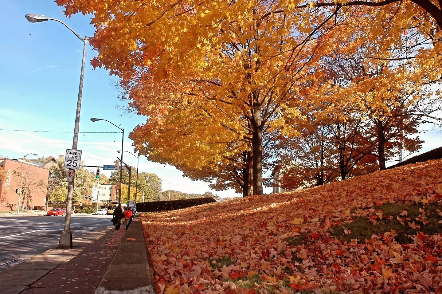 16 years back, on this day in Pittsburgh. The #leafcarpet was amazing ! #carnegiemellon