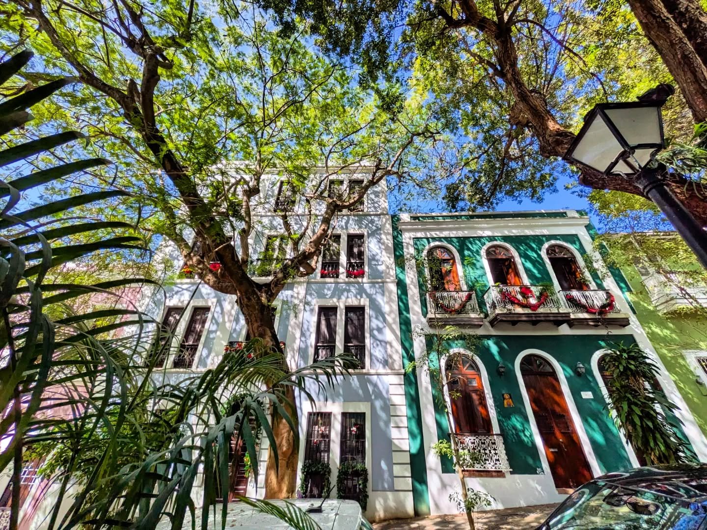 Ringed by a 16th century cathedral and convent and other Spanish colonial houses, the leafy #plazafelisarincon in the afternoon