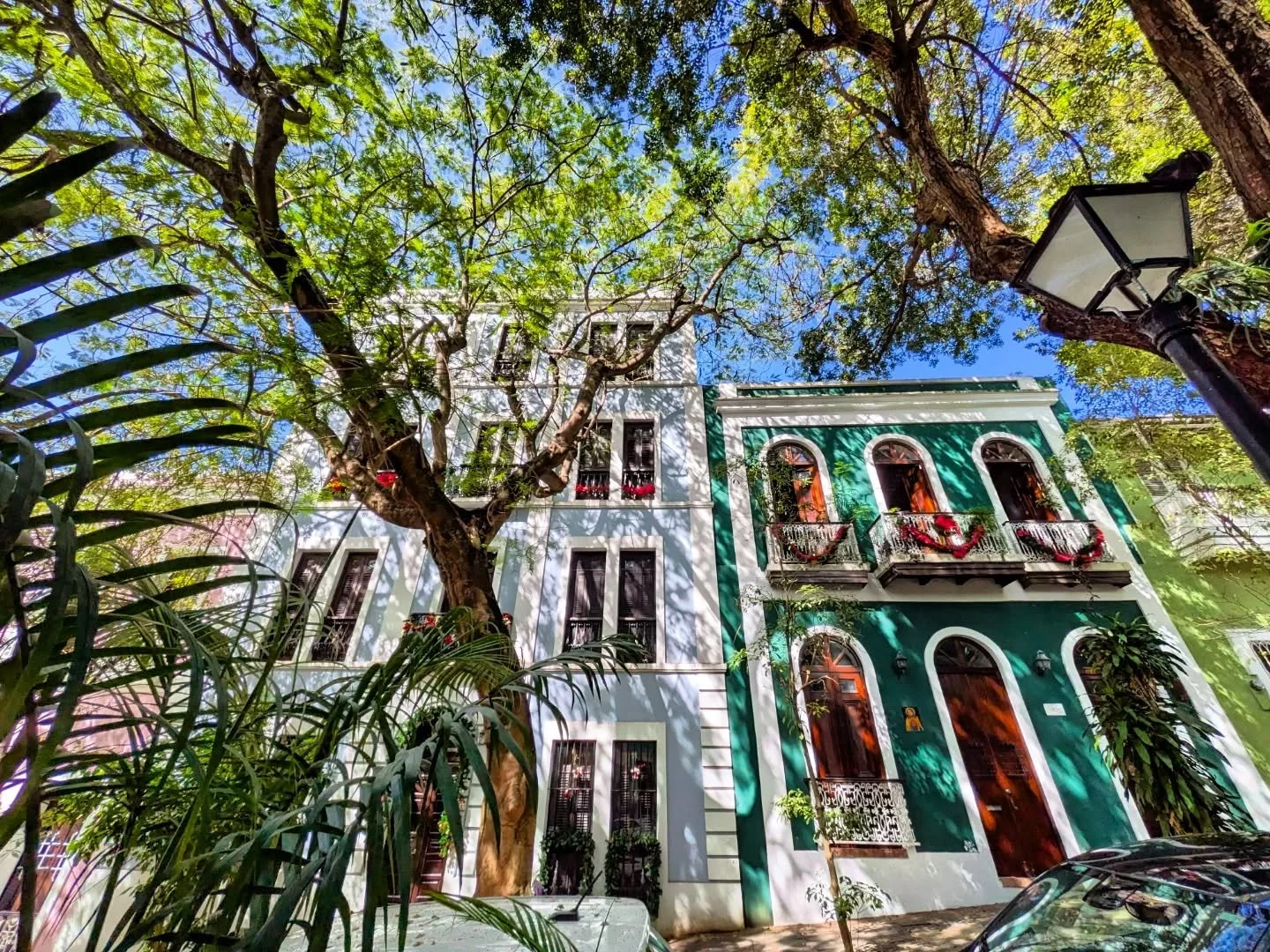 Ringed by a 16th century cathedral and convent and other Spanish colonial houses, the leafy #plazafelisarincon in the afternoon