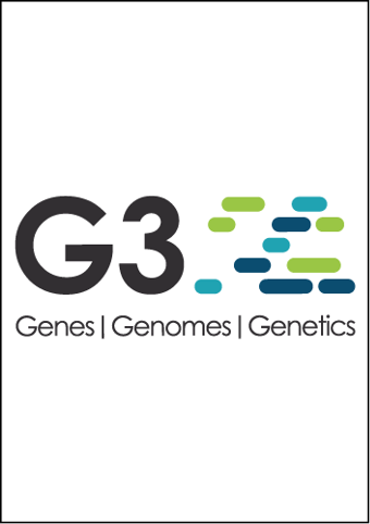 Distinct and predictive histone lysine acetylation patterns at promoters, enhancers, and gene bodies. G3: Genes | Genomes | Genetics, 2014