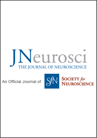 Nociceptor translational profiling reveals the RagA-mTORC1 network as a critical generator of neuropathic pain. J Neurosci, 2019
