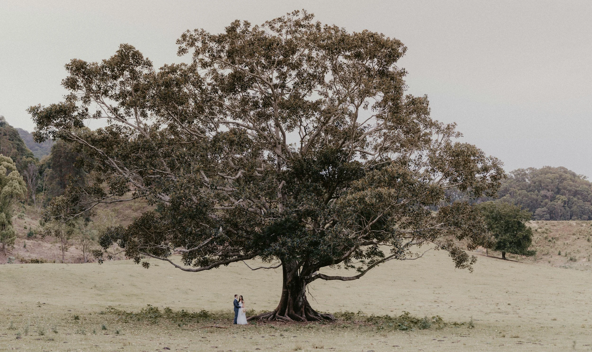 How to choose a celebrant…
