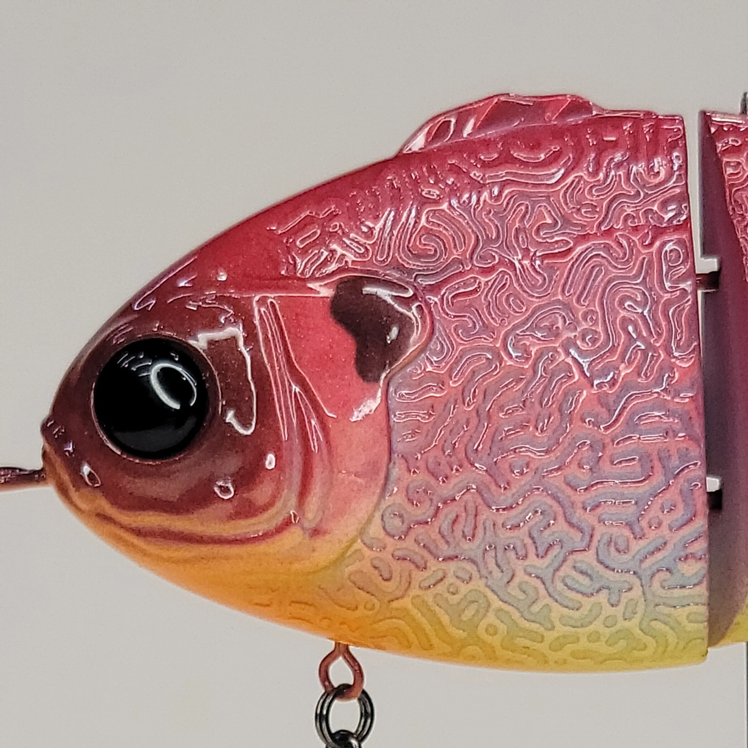 red sunfish head.jpg