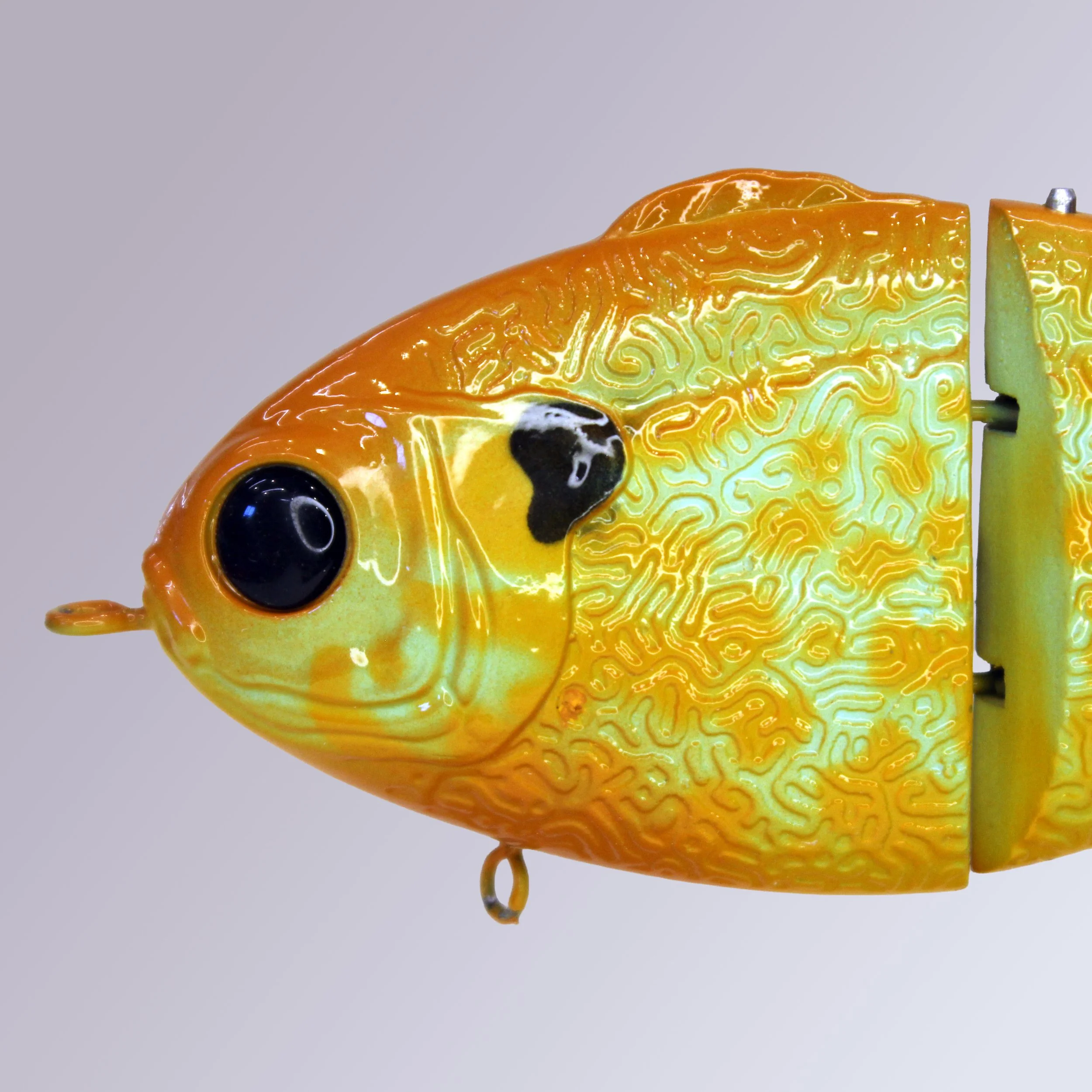 yellow head.jpg