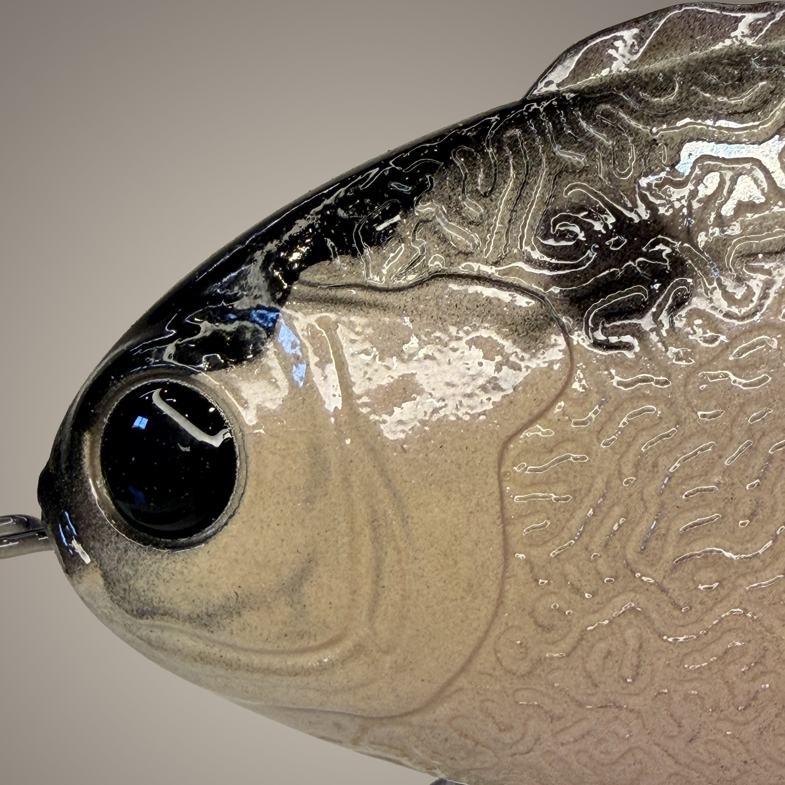 dark shad head.jpg