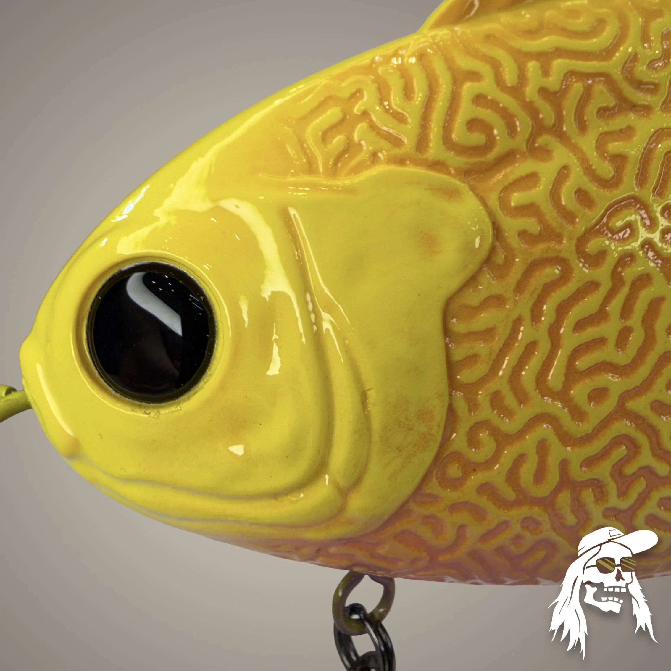 pl head2.jpg