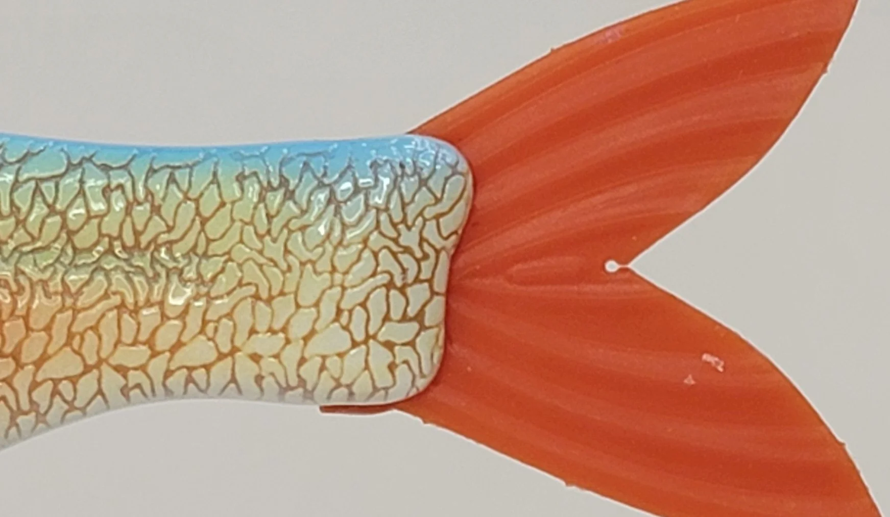 very sexy shad tail.jpg