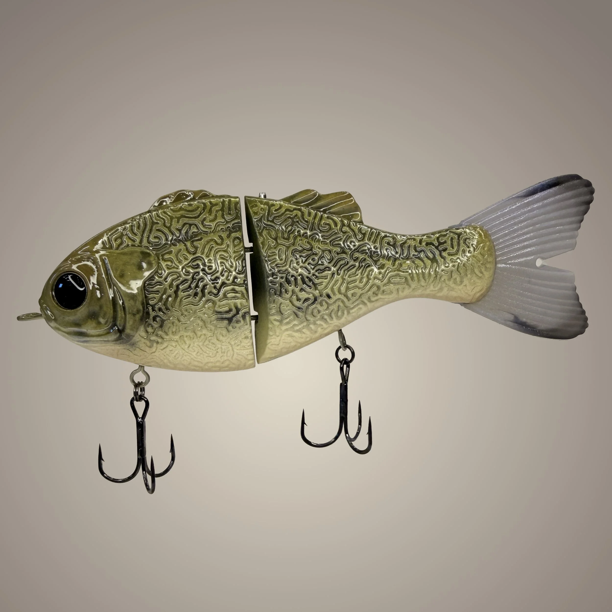 baby bass.jpg